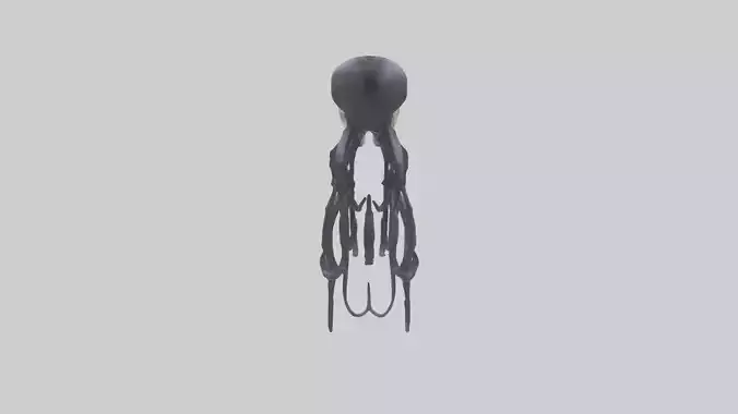 Squid Ink Skeleton model 3D model