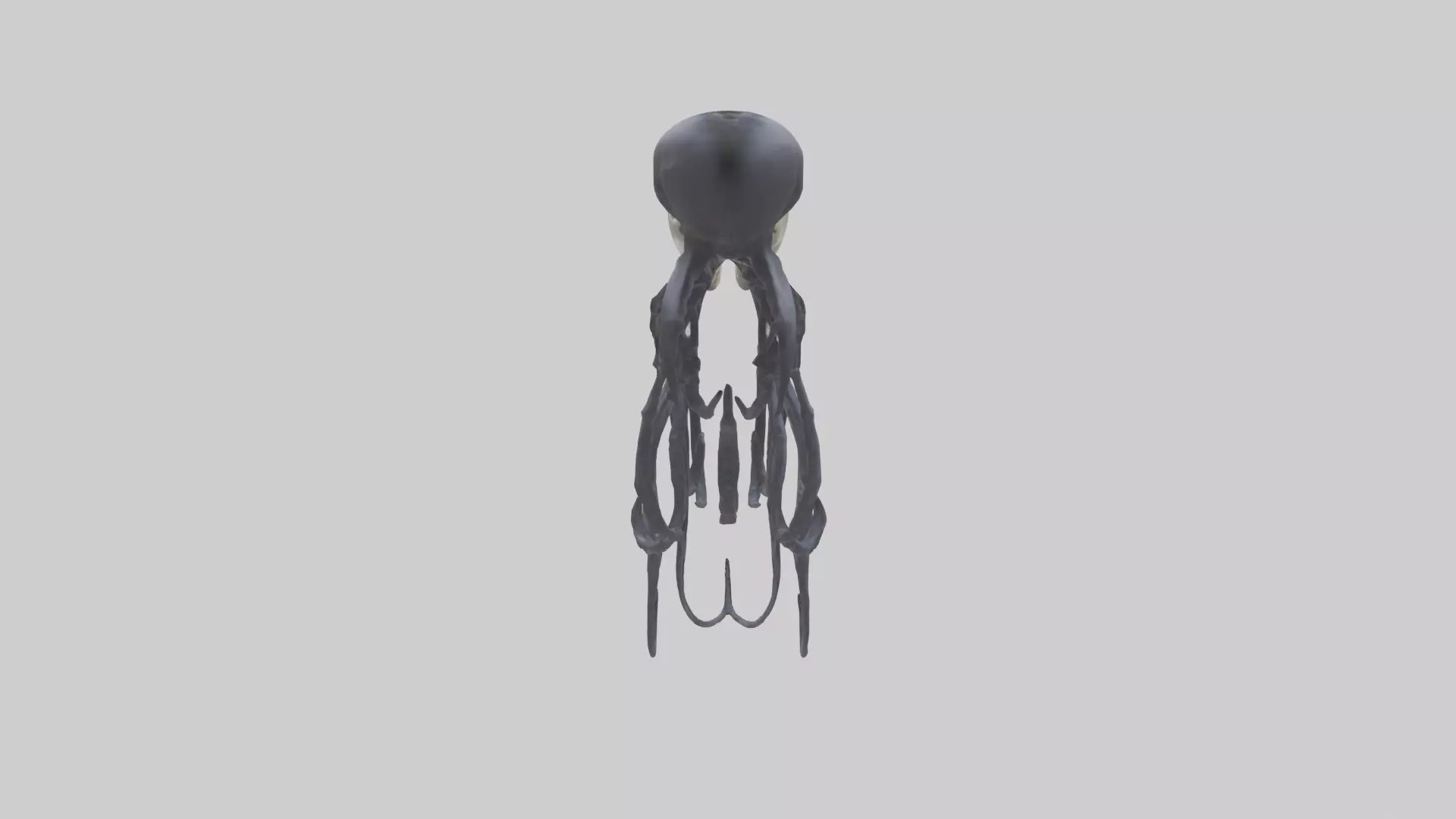 Squid Ink Skeleton model 3D model_0