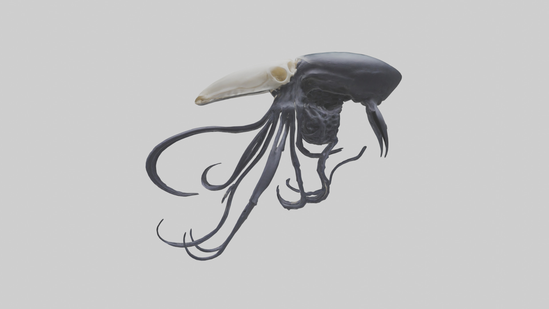 Squid Ink Skeleton model 3D model_12