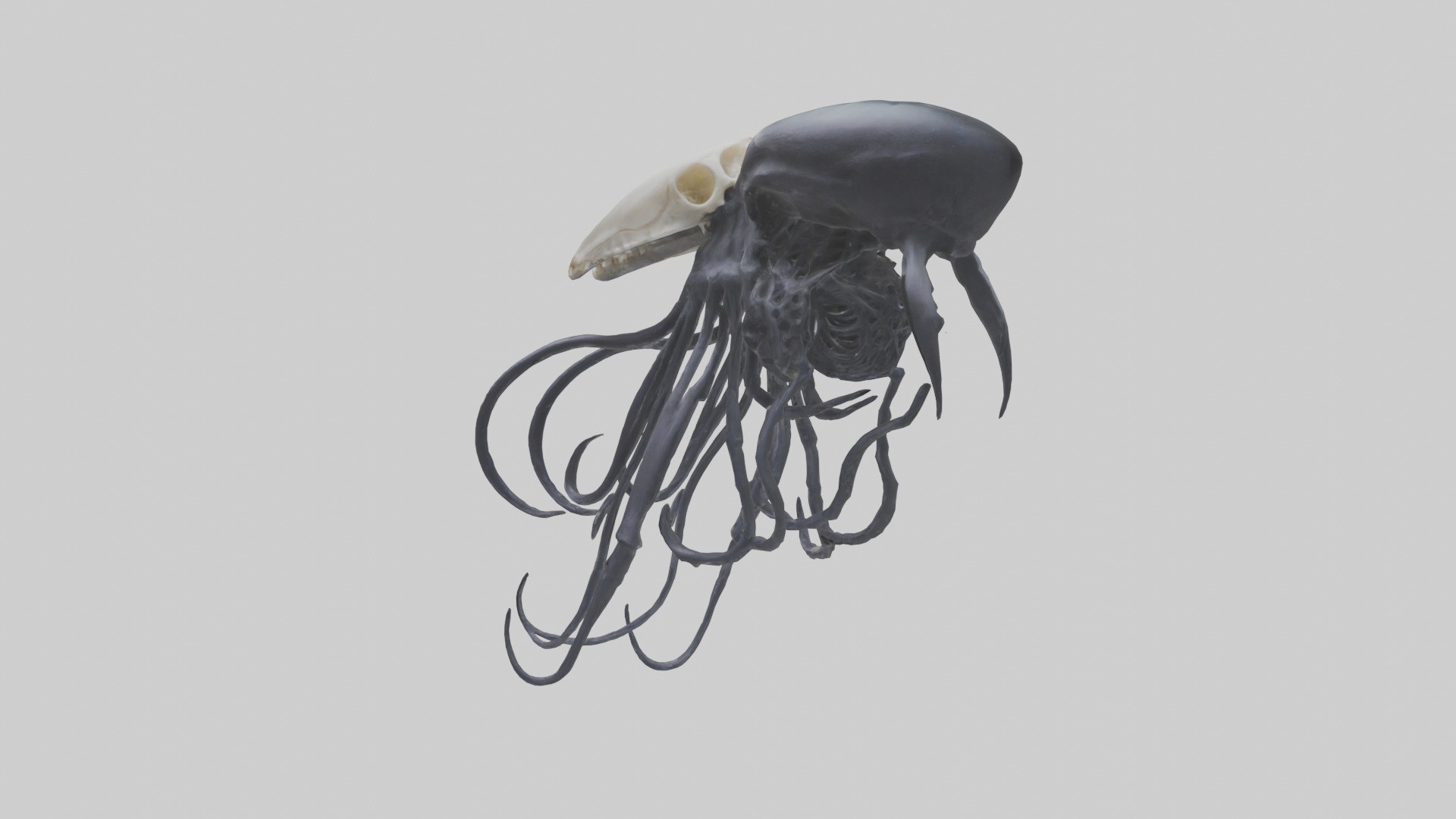 Squid Ink Skeleton model 3D model_1