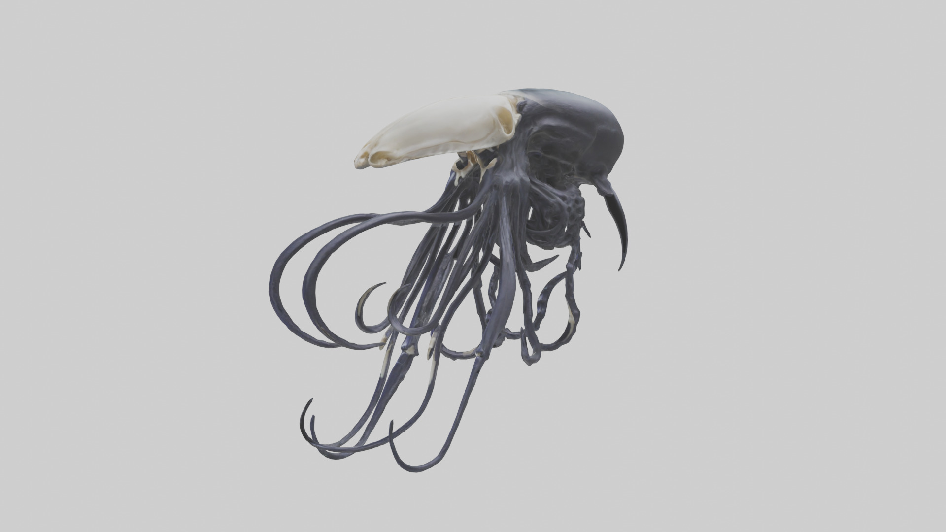 Squid Ink Skeleton model 3D model_8