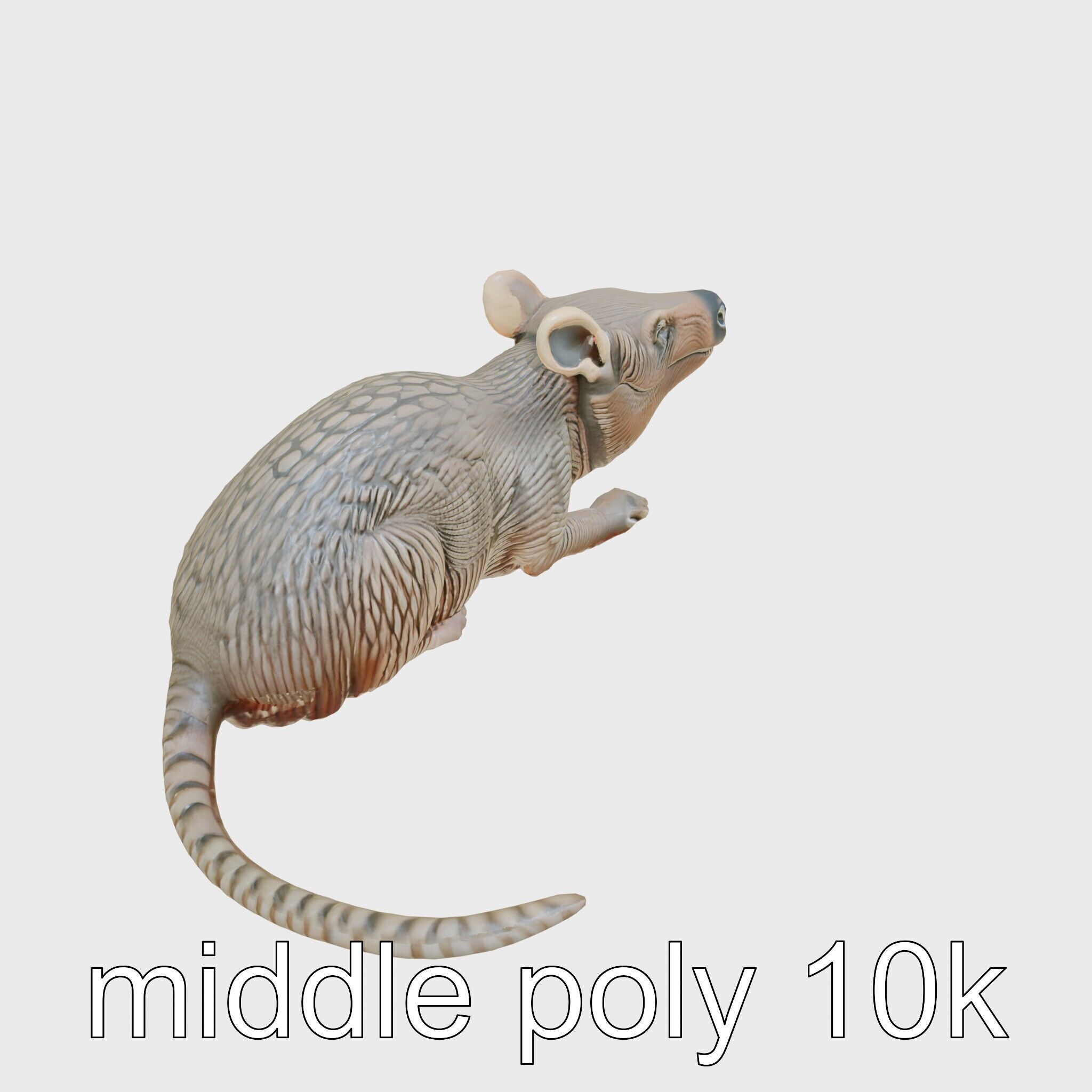 Aardvark Burrowed Rest Model Pack Low-poly 3D model_12