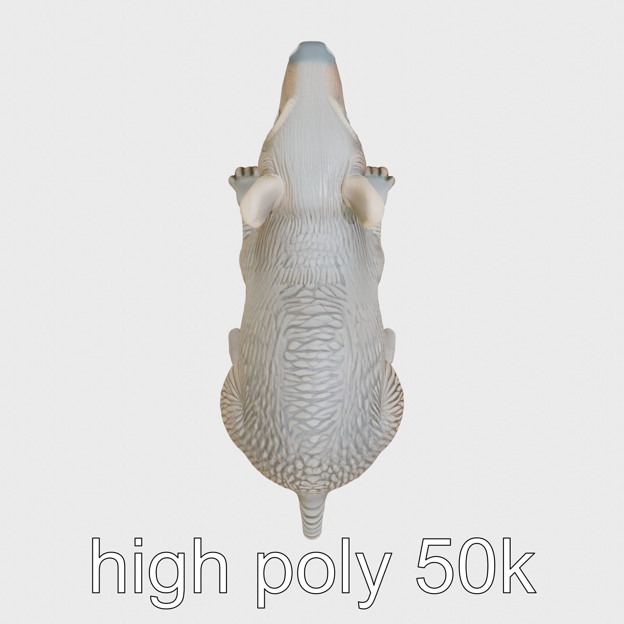 Aardvark Burrowed Rest Model Pack Low-poly 3D model_16