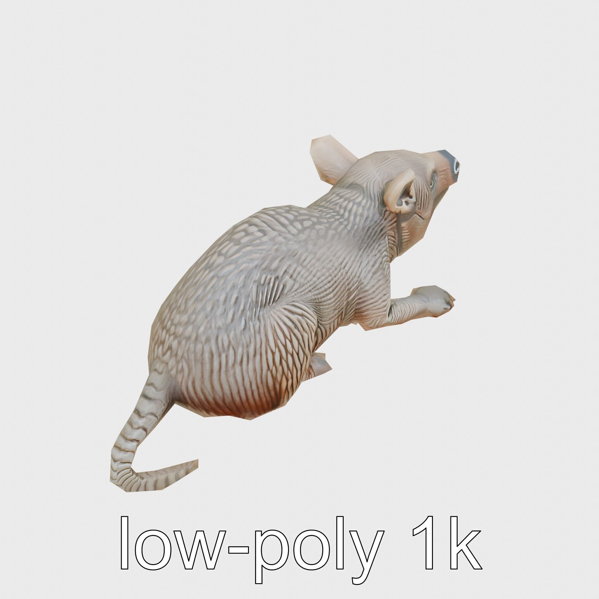 Aardvark Burrowed Rest Model Pack Low-poly 3D model_13