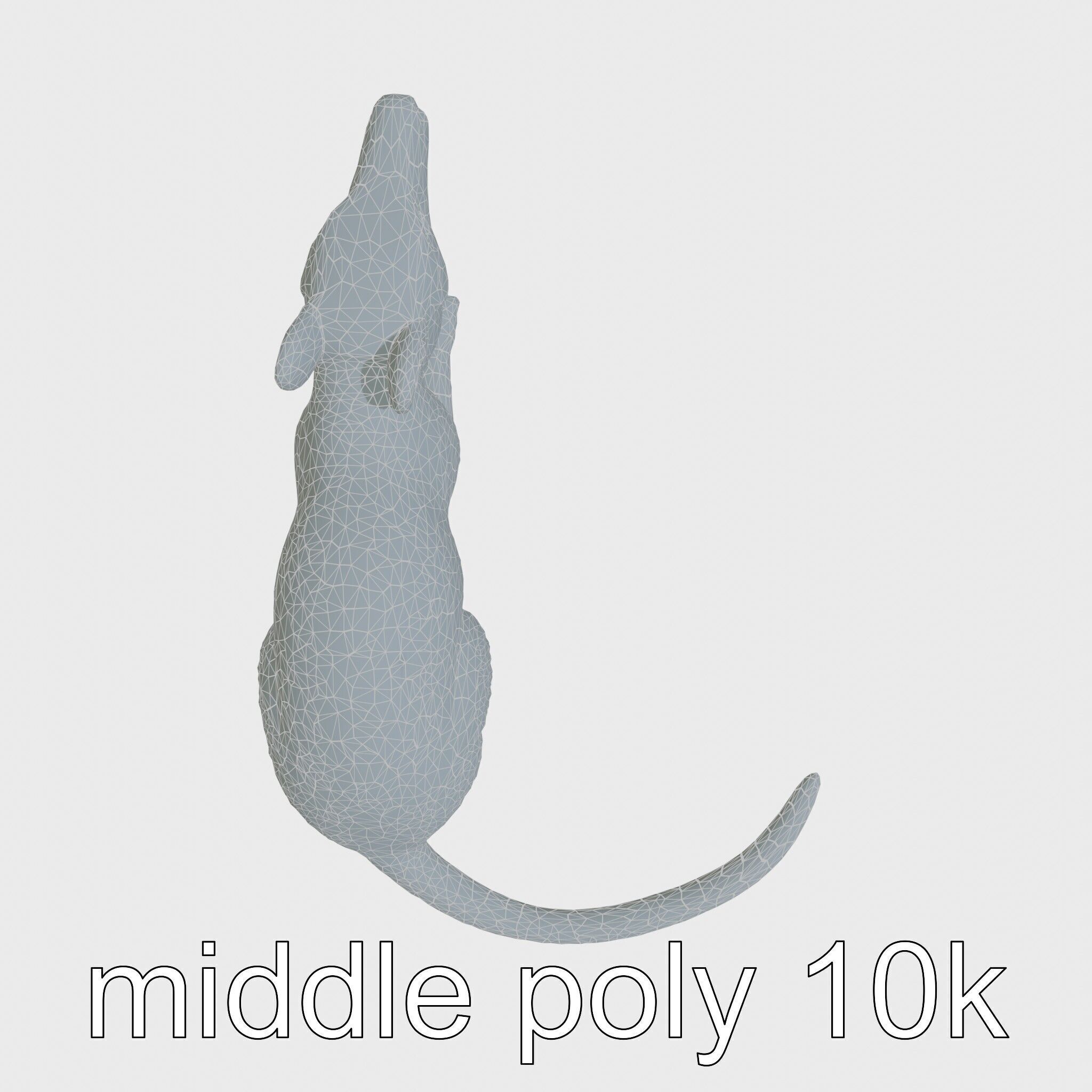 Aardvark Burrowed Rest Model Pack Low-poly 3D model_26