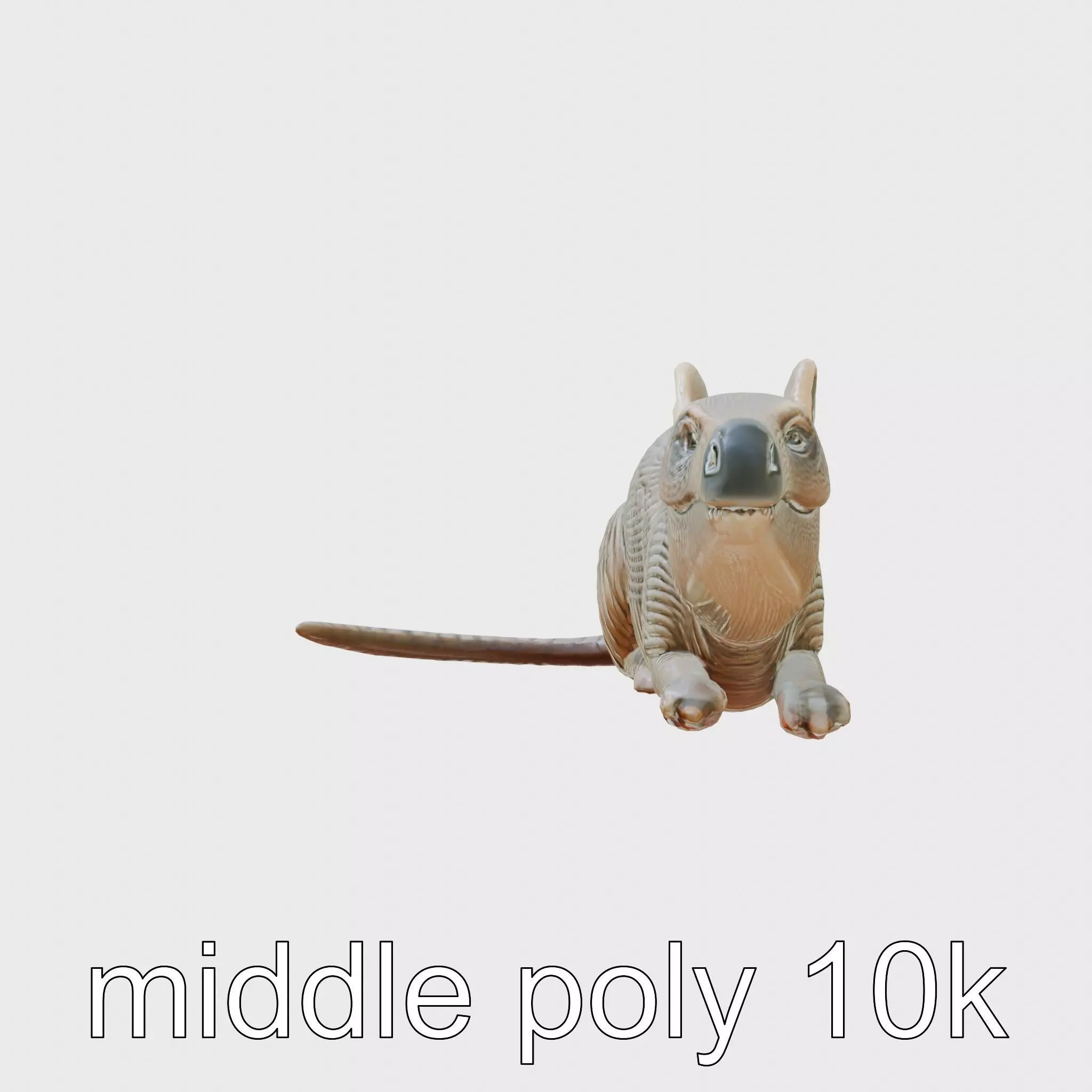 Aardvark Burrowed Rest Model Pack Low-poly 3D model_0
