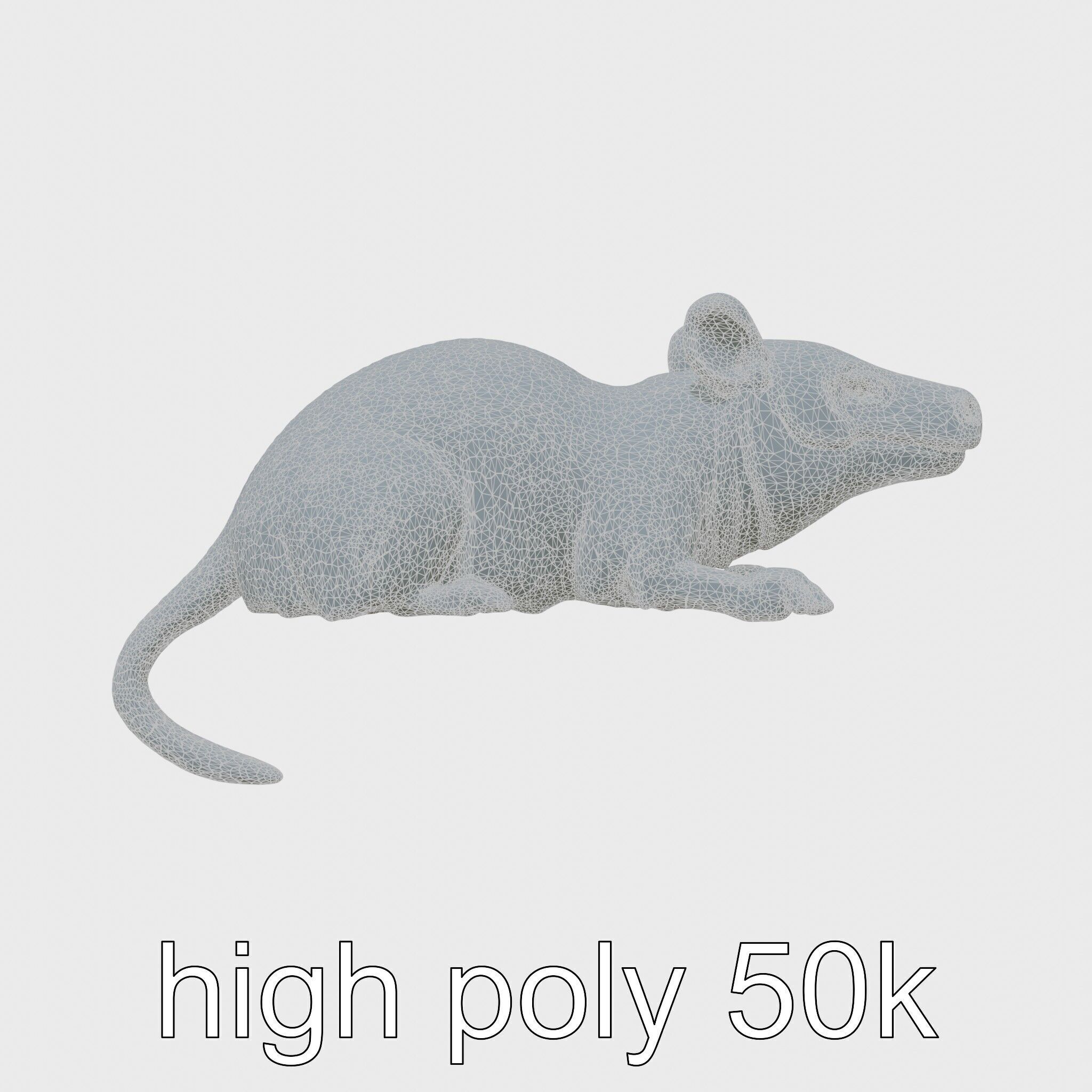 Aardvark Burrowed Rest Model Pack Low-poly 3D model_19