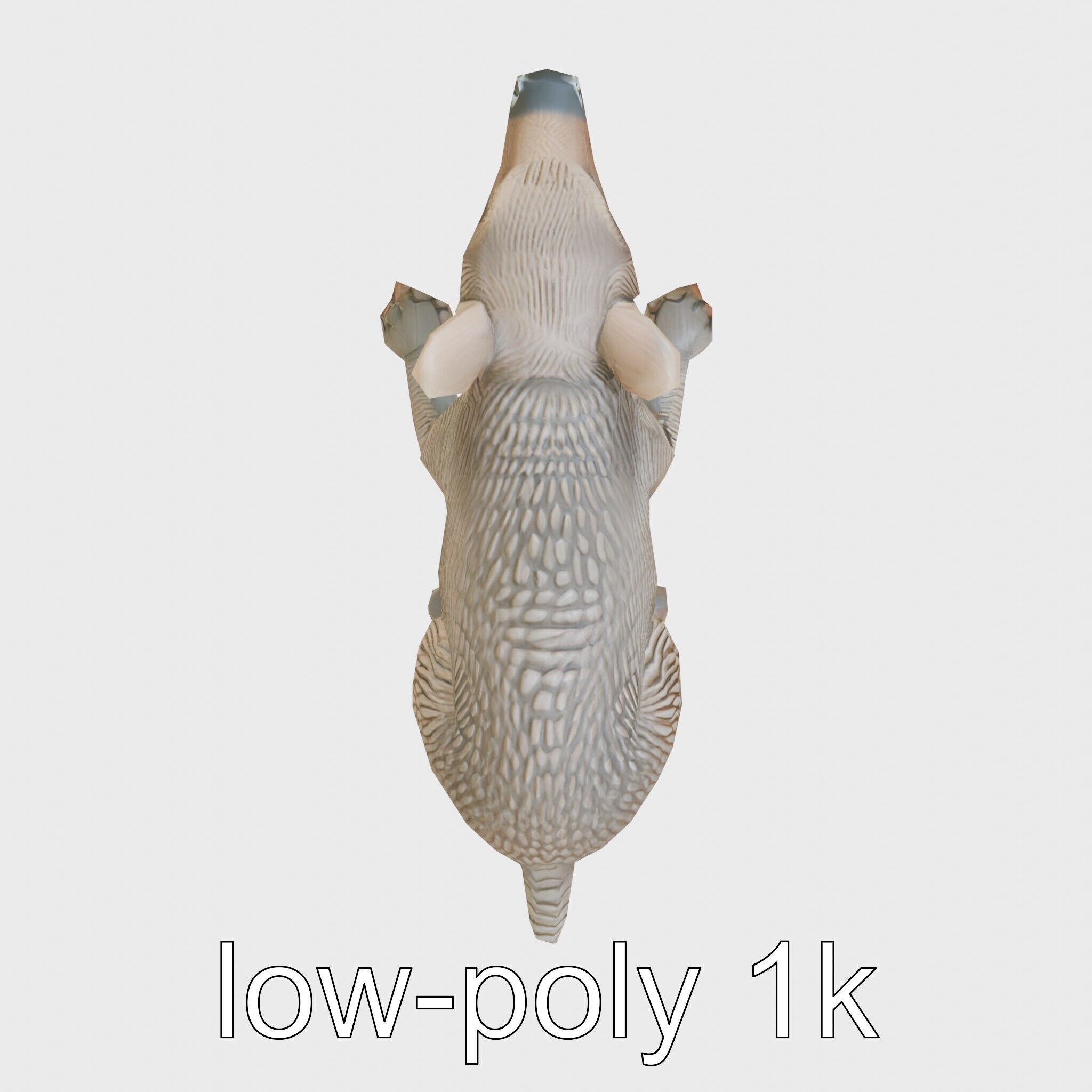 Aardvark Burrowed Rest Model Pack Low-poly 3D model_27
