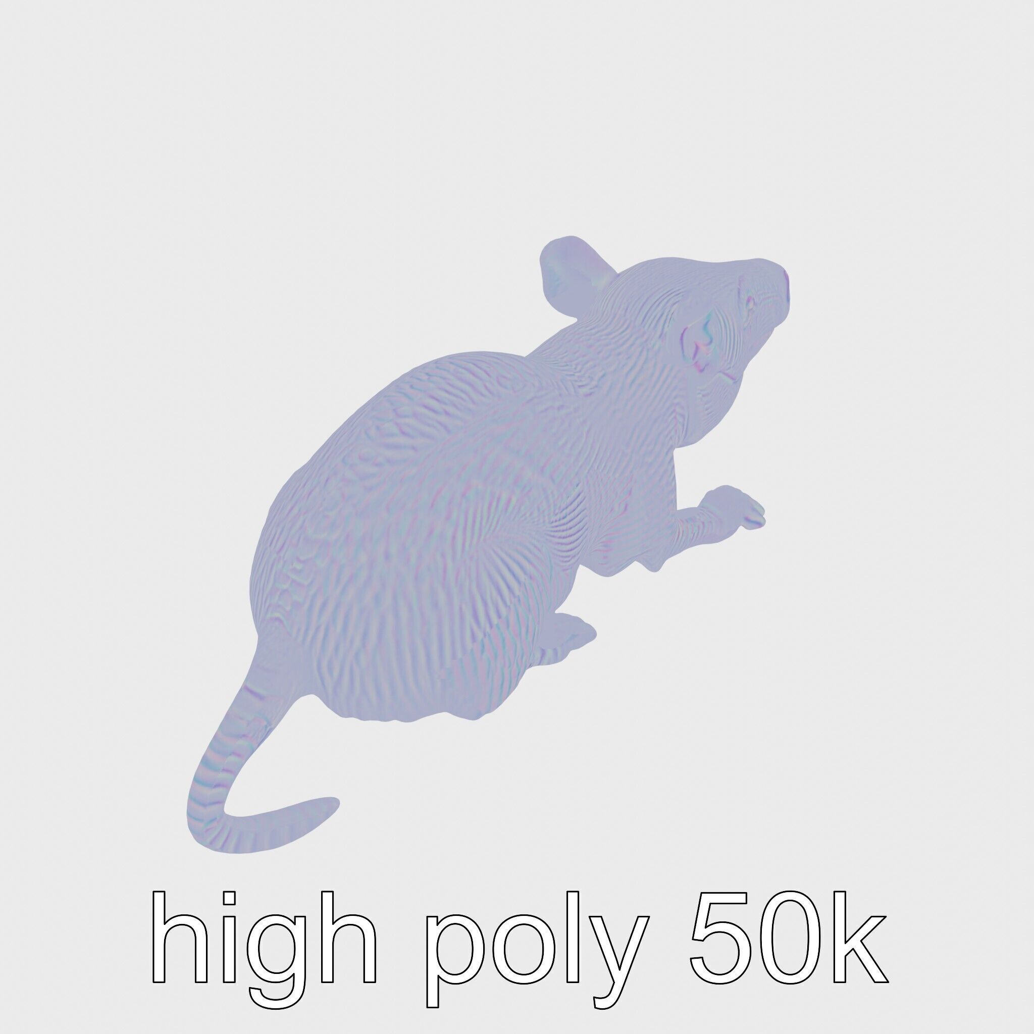 Aardvark Burrowed Rest Model Pack Low-poly 3D model_23
