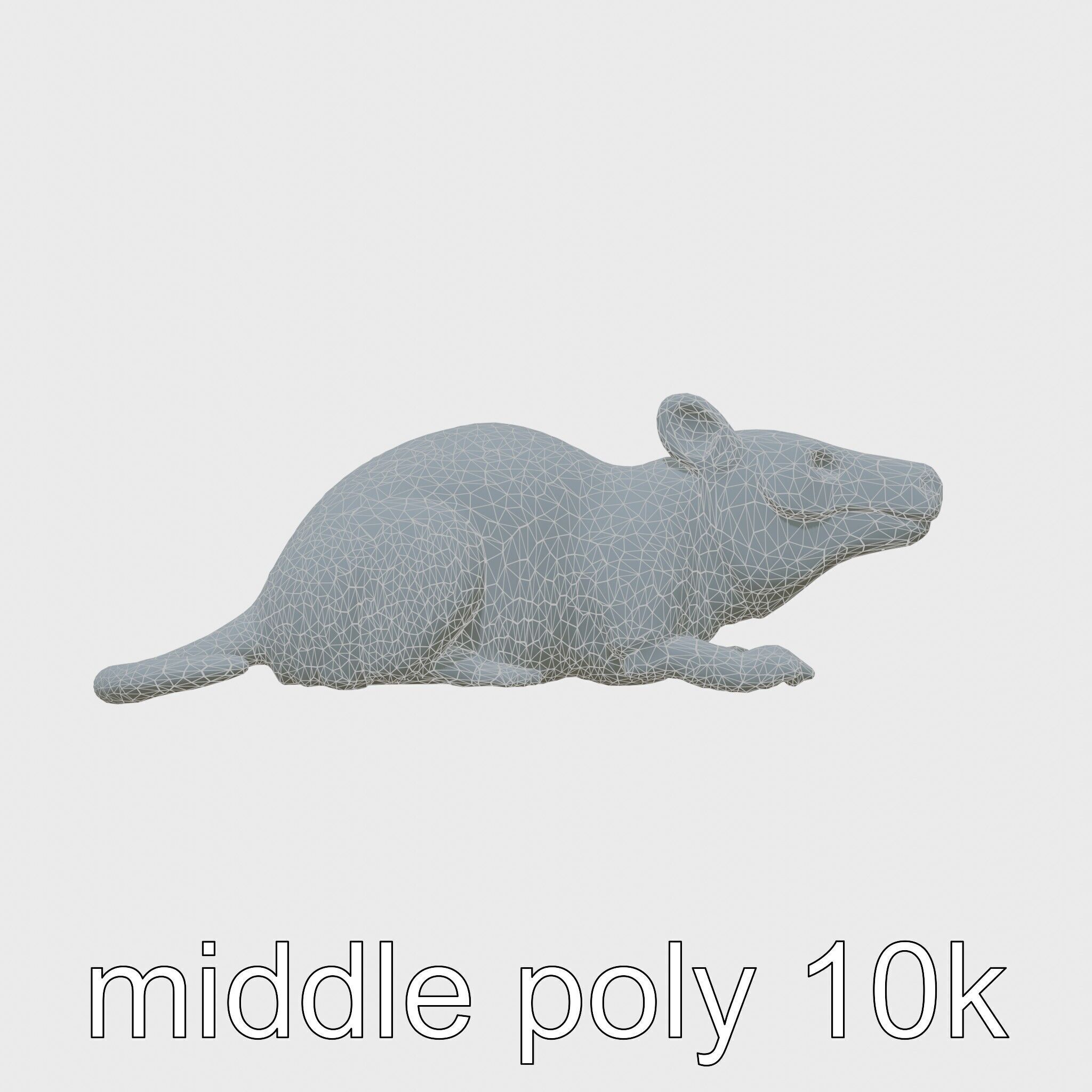 Aardvark Burrowed Rest Model Pack Low-poly 3D model_20