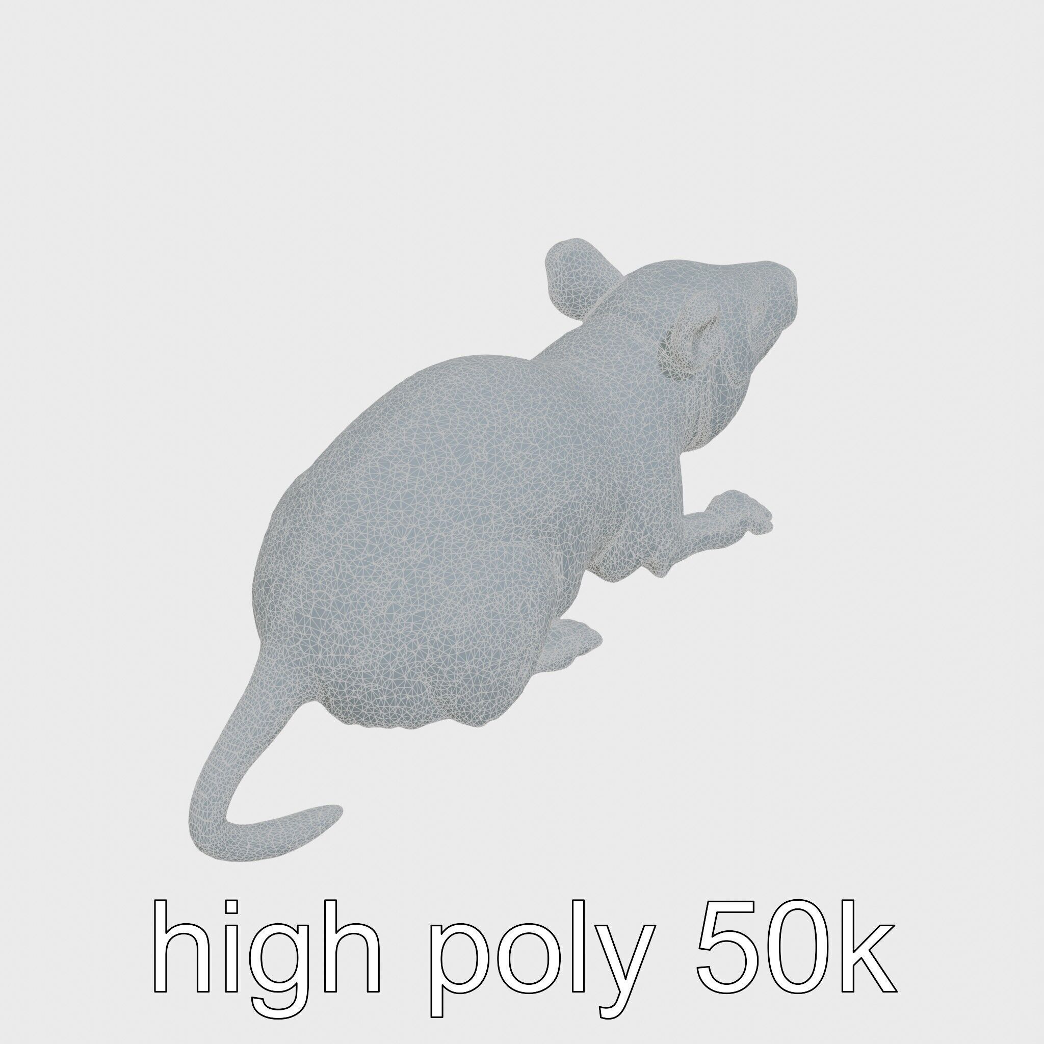 Aardvark Burrowed Rest Model Pack Low-poly 3D model_30