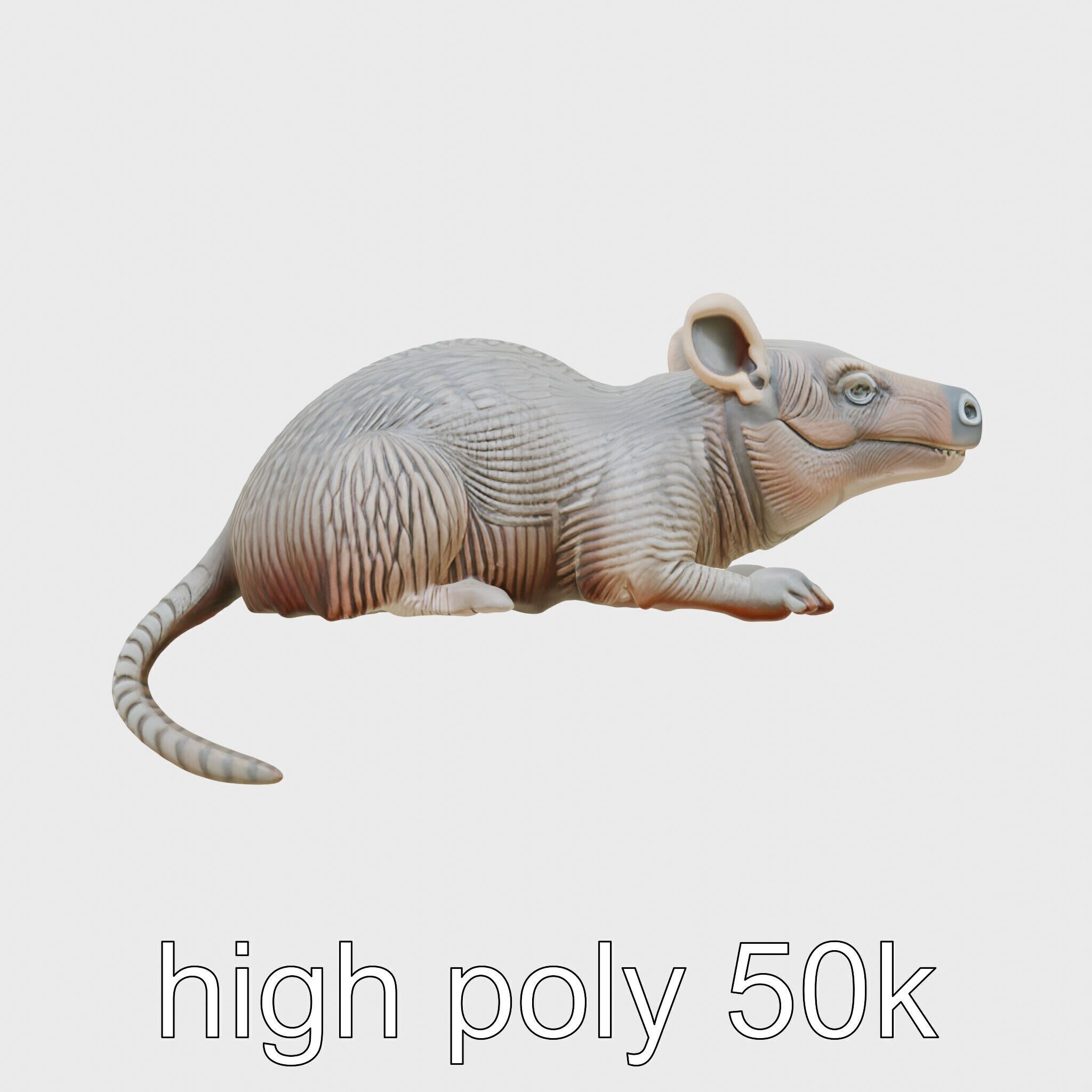 Aardvark Burrowed Rest Model Pack Low-poly 3D model_21