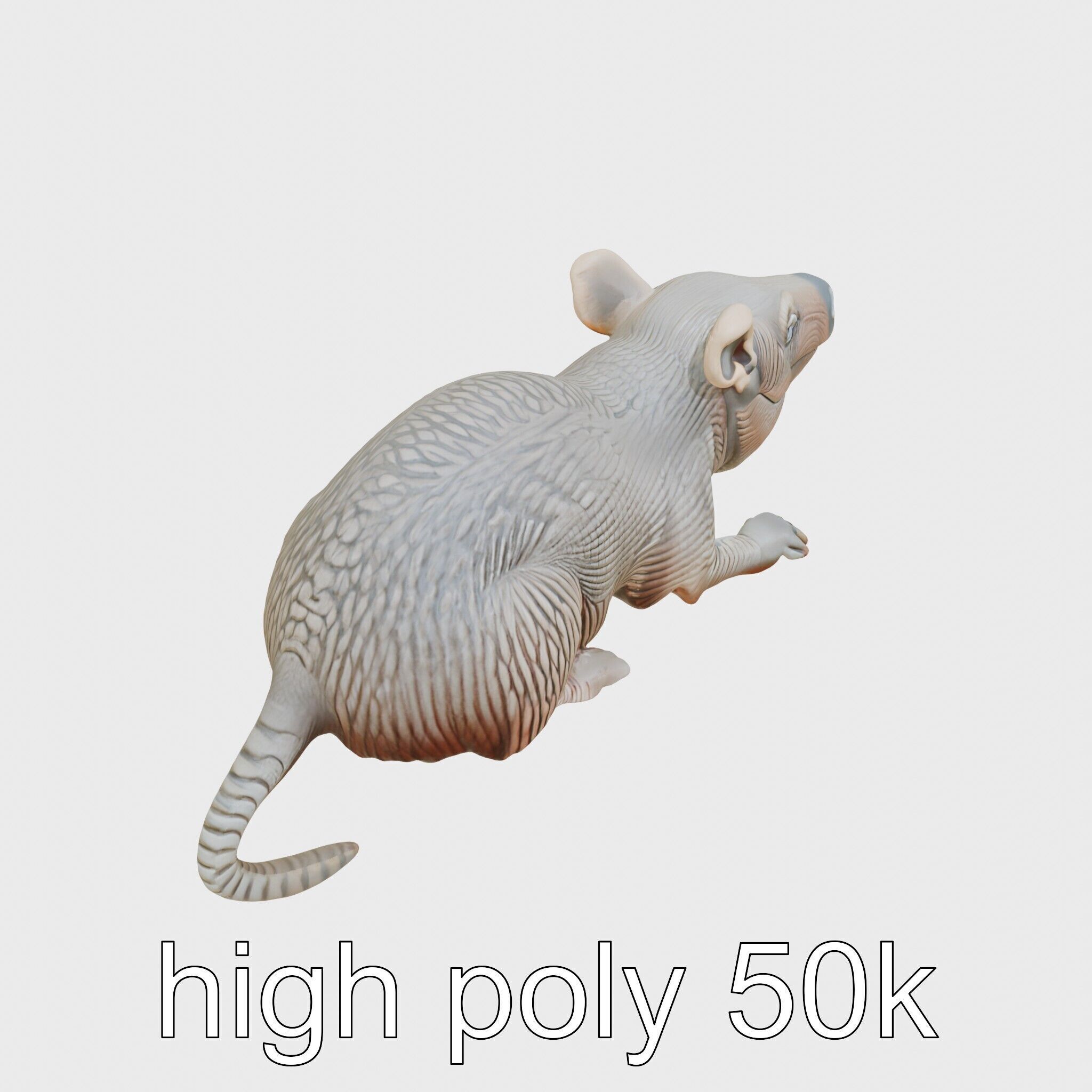 Aardvark Burrowed Rest Model Pack Low-poly 3D model_11