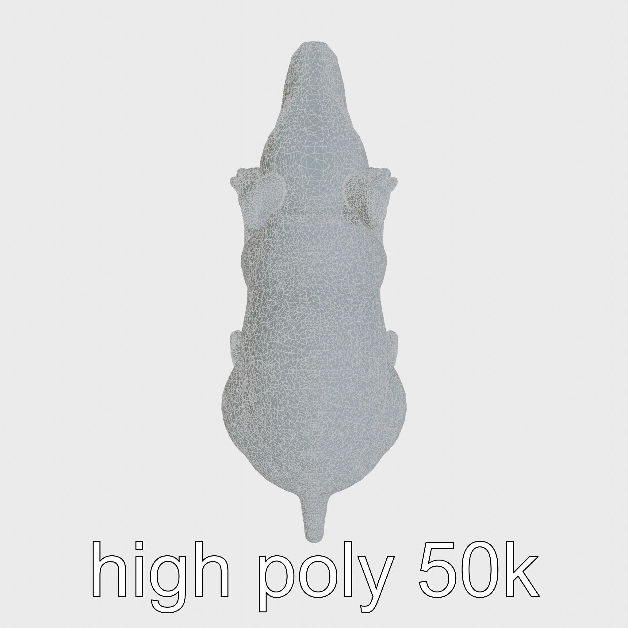Aardvark Burrowed Rest Model Pack Low-poly 3D model_28
