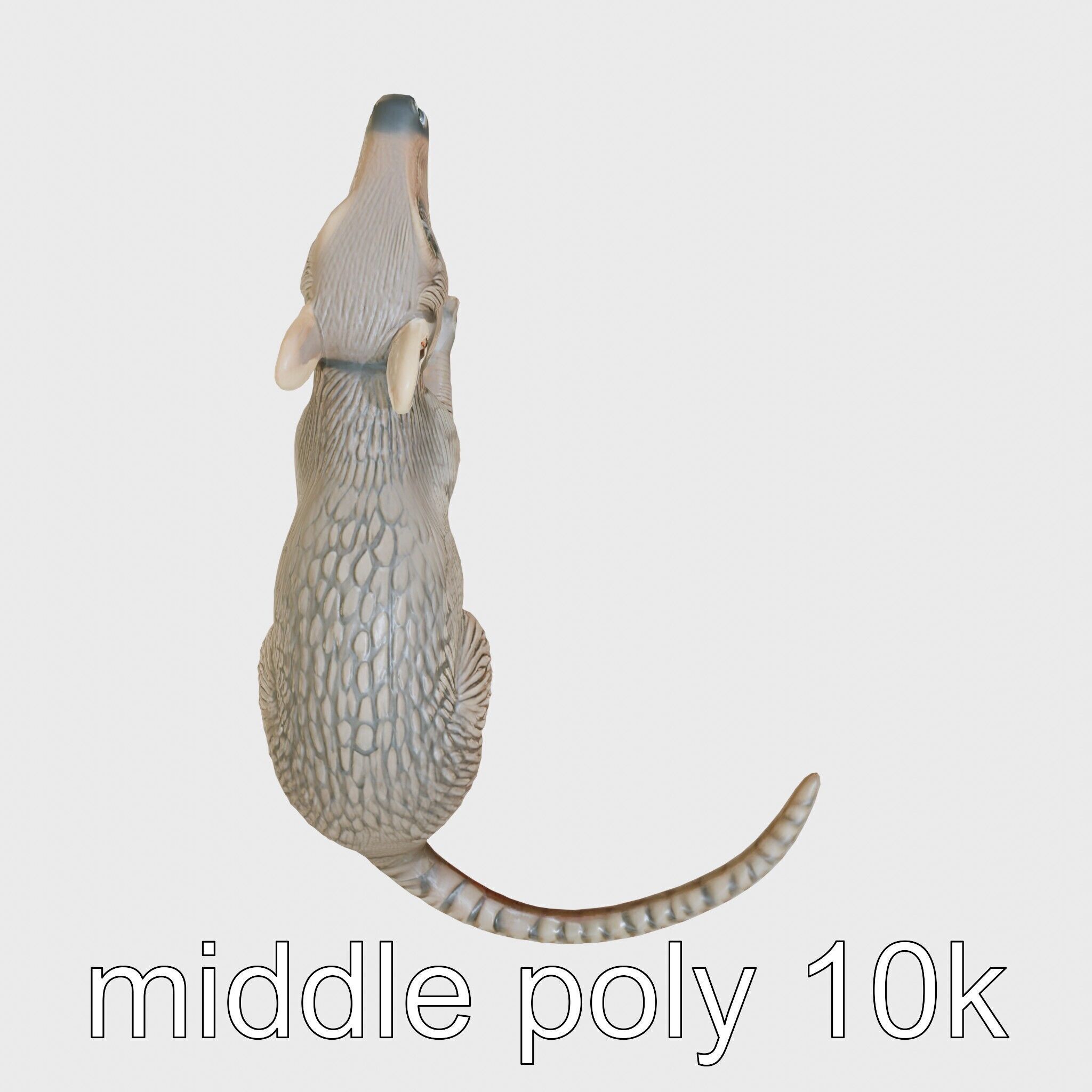 Aardvark Burrowed Rest Model Pack Low-poly 3D model_17