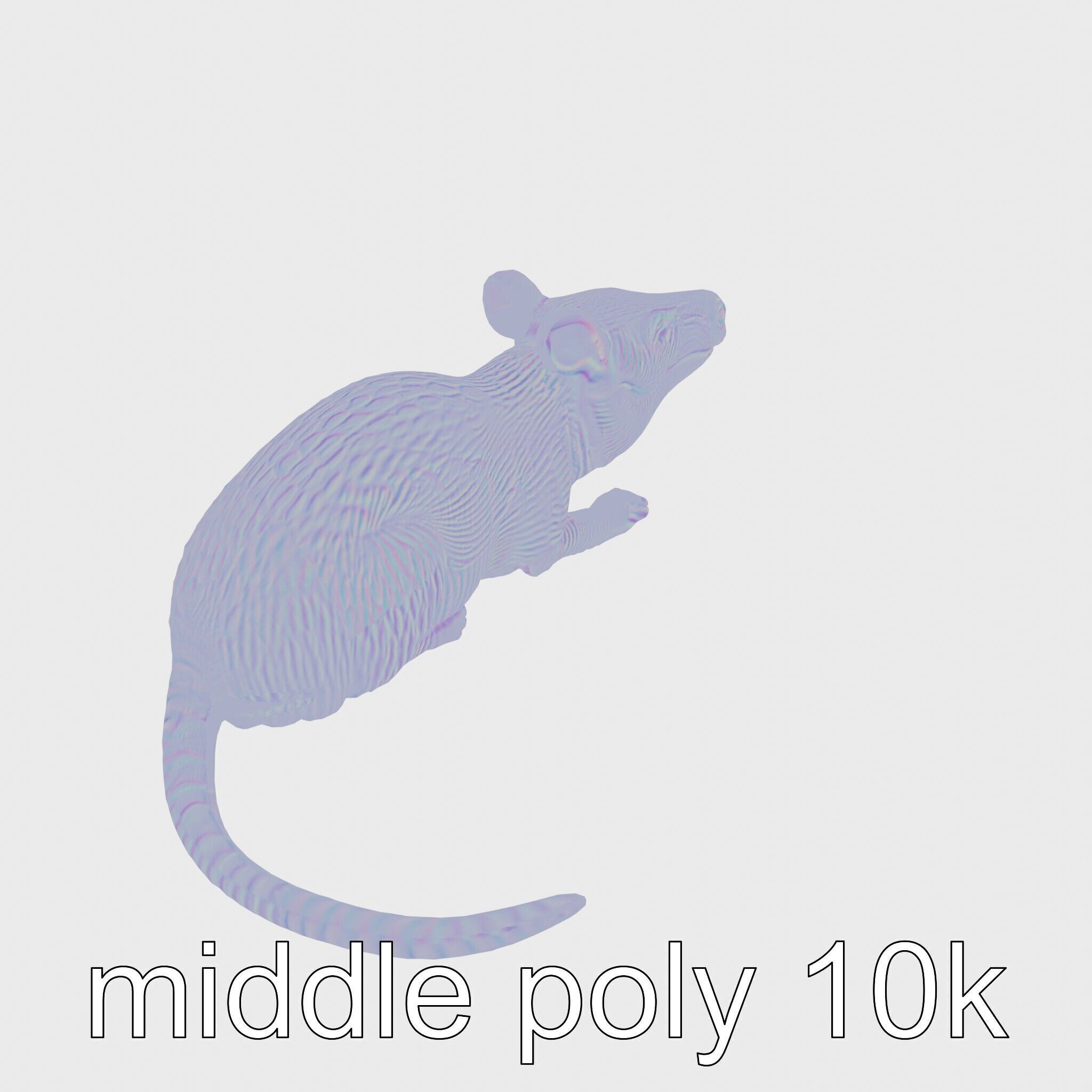 Aardvark Burrowed Rest Model Pack Low-poly 3D model_22