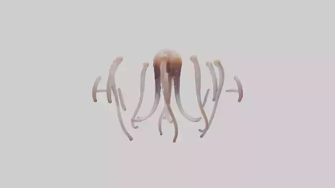 Squid Tentacles