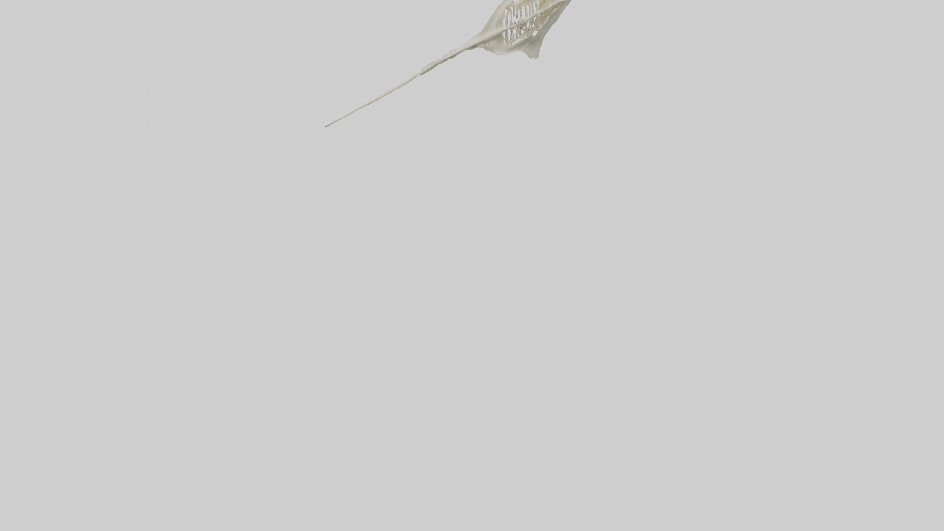 Stingray Skeleton model 3D model_5