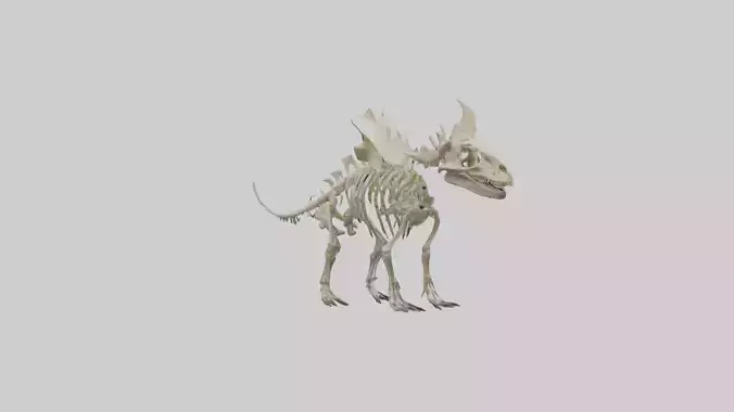 Styracosaurus Skeleton model 3D model
