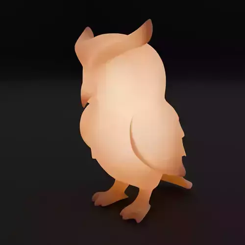 Indirect owl lighting