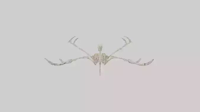 Tetrabrachion Skeleton model