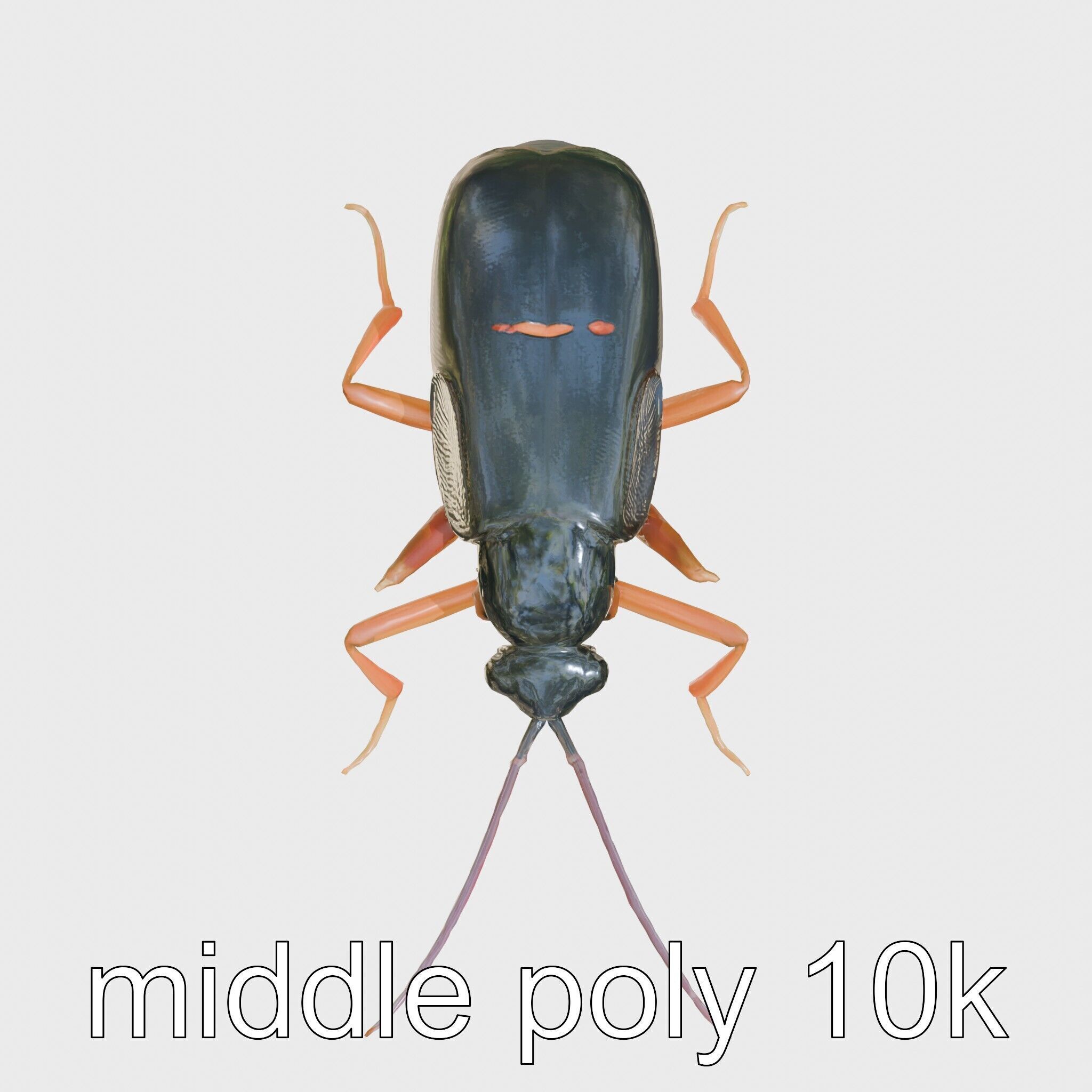 Cockroach Custodian 3D model pack with stylized legs Low-poly 3D model_32