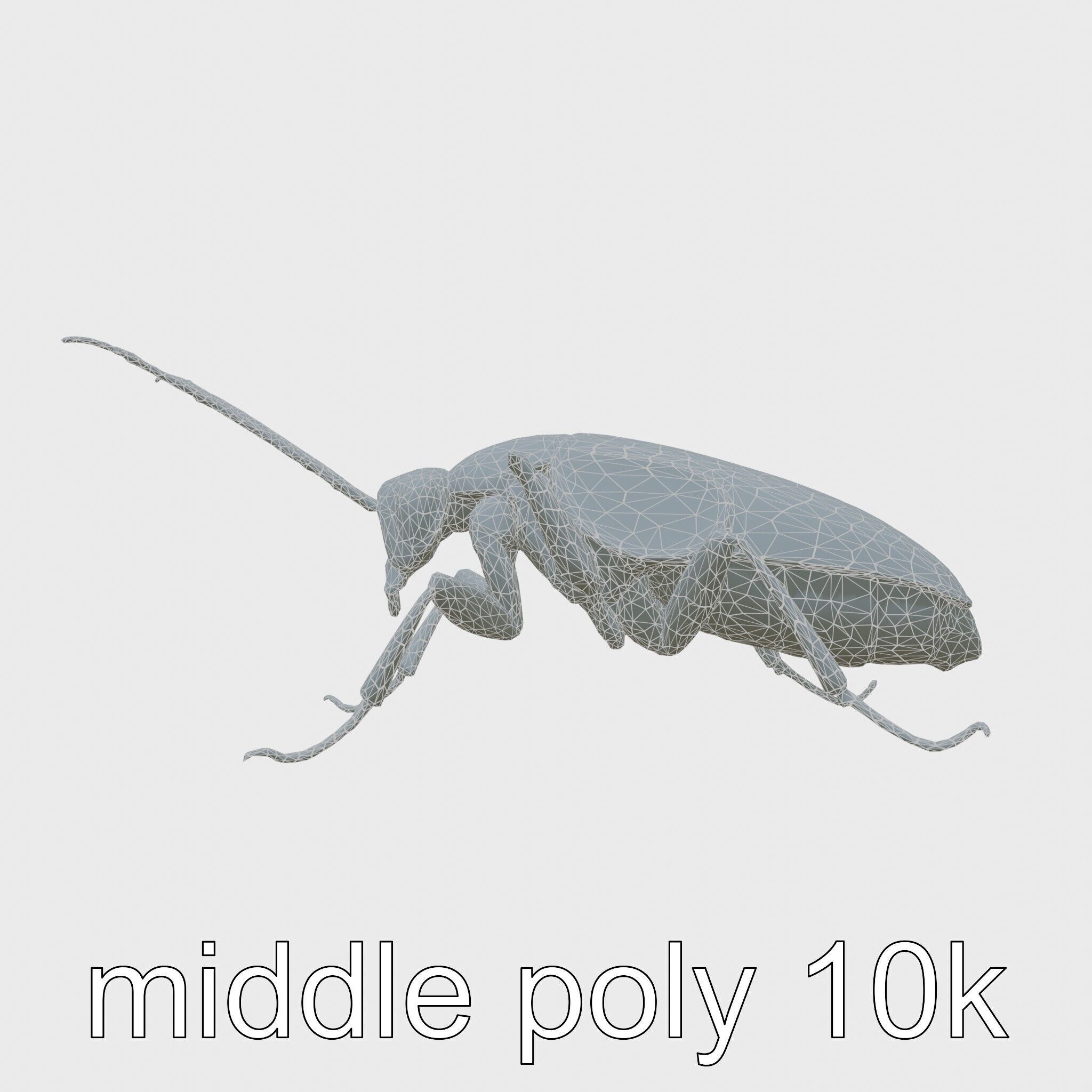 Cockroach Custodian 3D model pack with stylized legs Low-poly 3D model_23