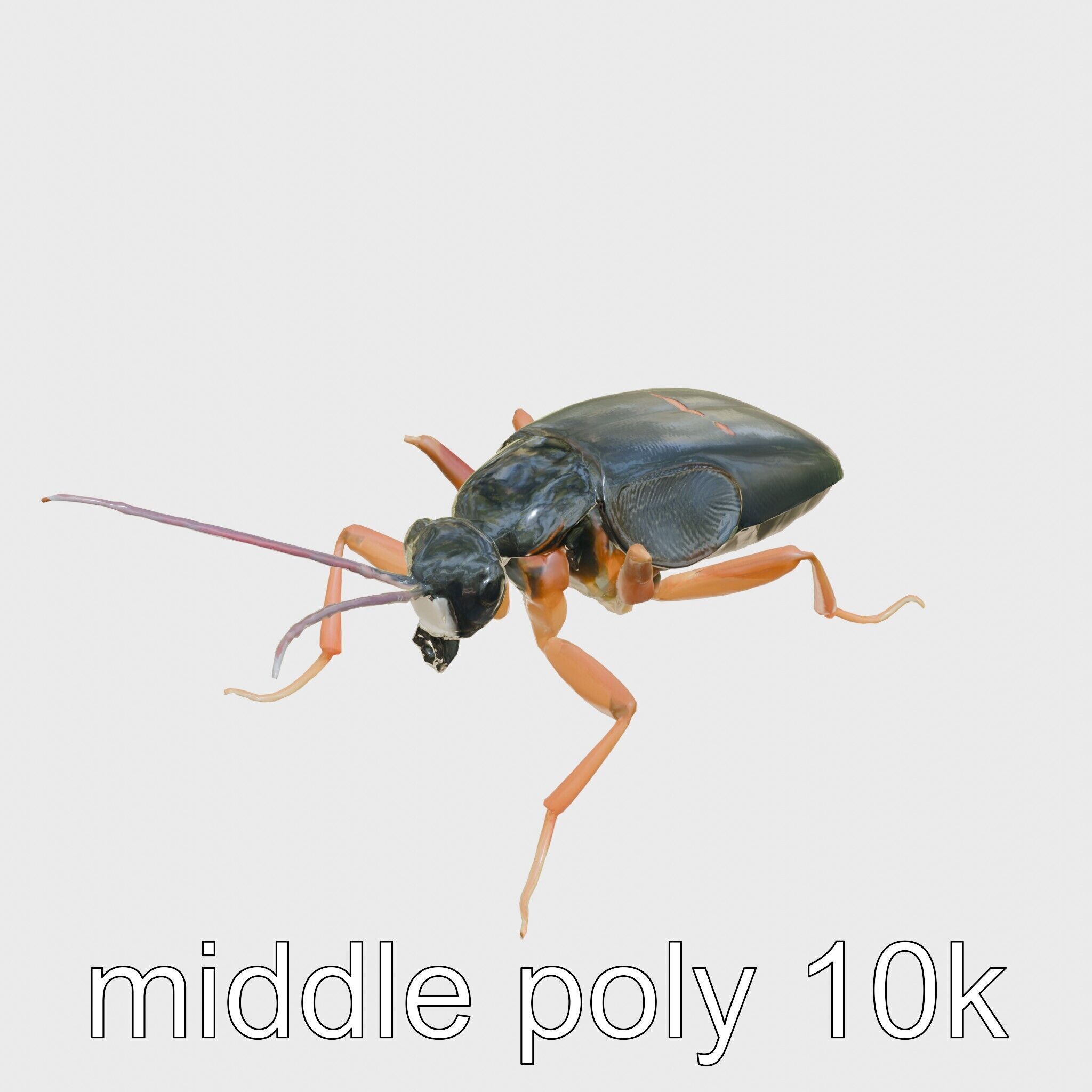 Cockroach Custodian 3D model pack with stylized legs Low-poly 3D model_12