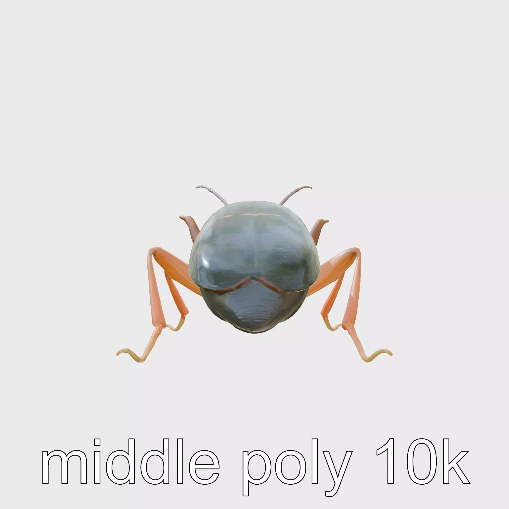 Cockroach Custodian 3D model pack with stylized legs Low-poly 3D model_0