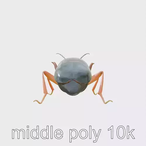 Cockroach Custodian 3D model pack with stylized legs Low-poly 3D model