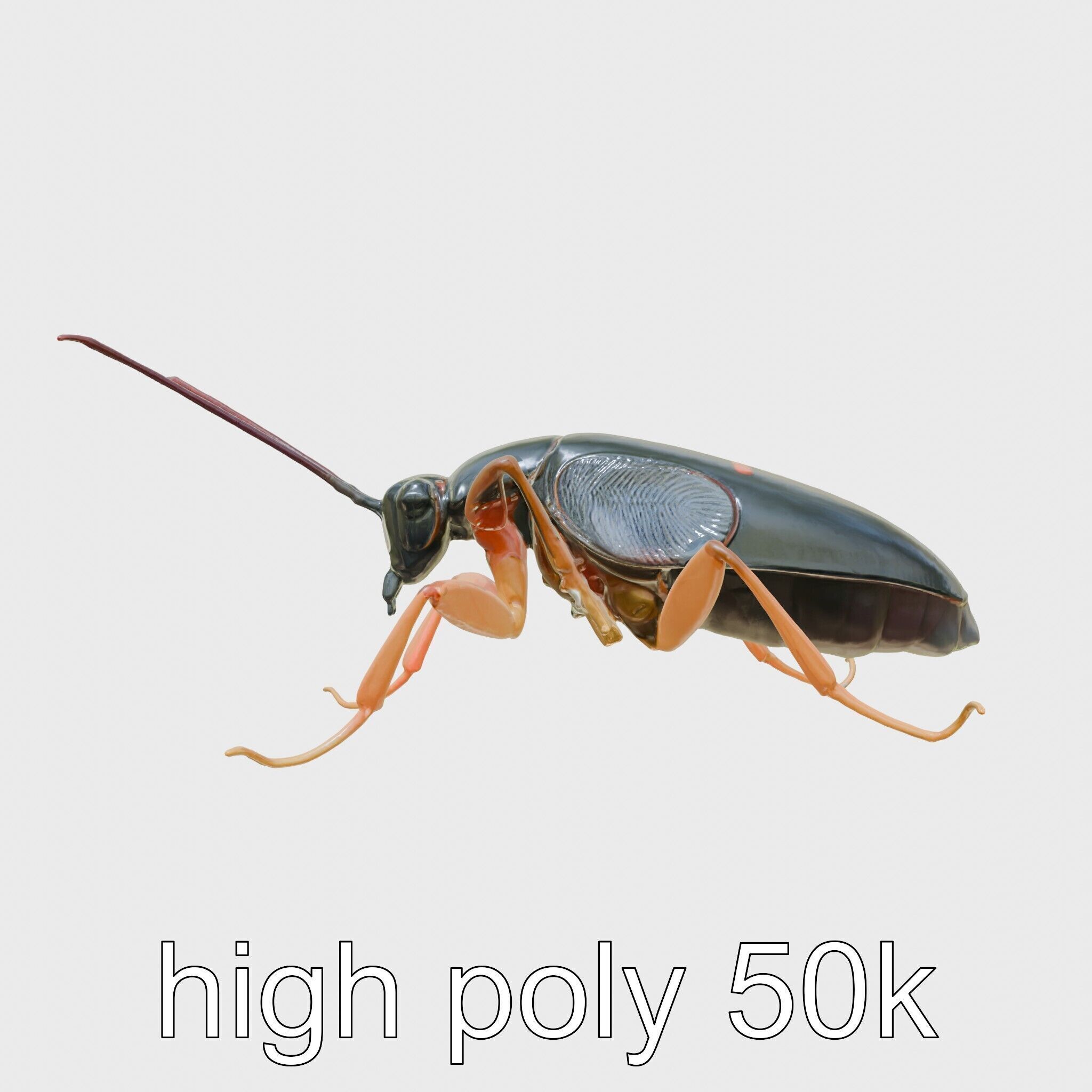 Cockroach Custodian 3D model pack with stylized legs Low-poly 3D model_14