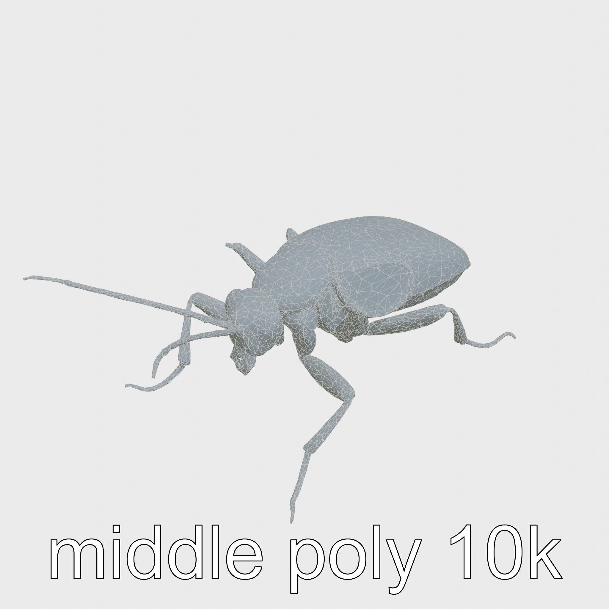 Cockroach Custodian 3D model pack with stylized legs Low-poly 3D model_22