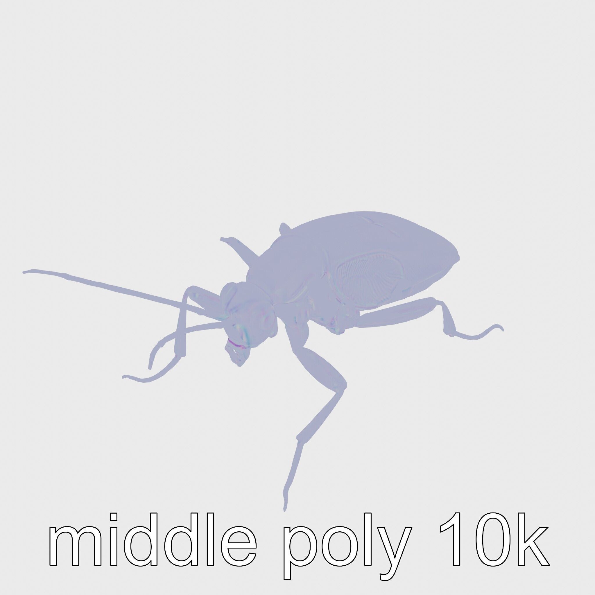 Cockroach Custodian 3D model pack with stylized legs Low-poly 3D model_21