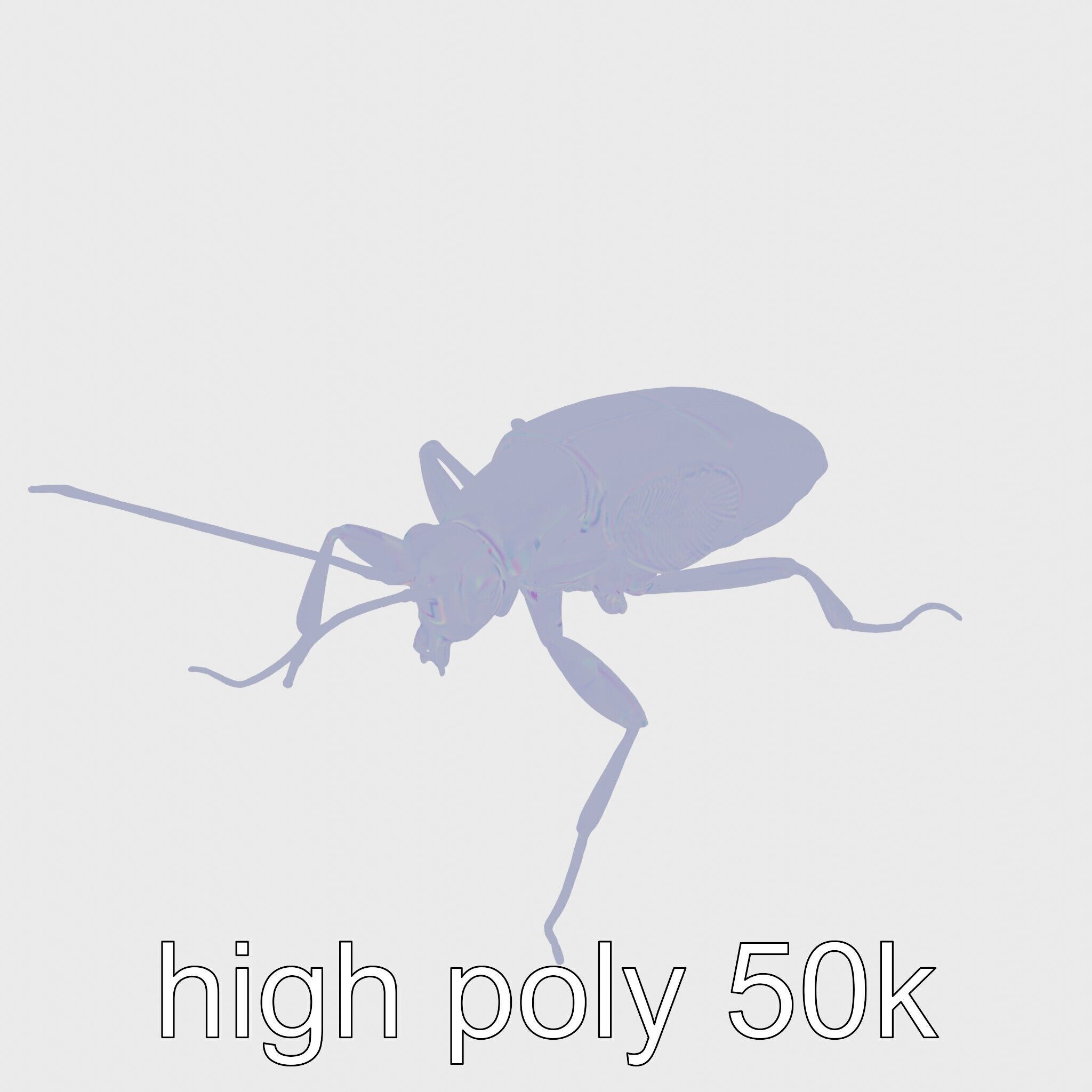 Cockroach Custodian 3D model pack with stylized legs Low-poly 3D model_19