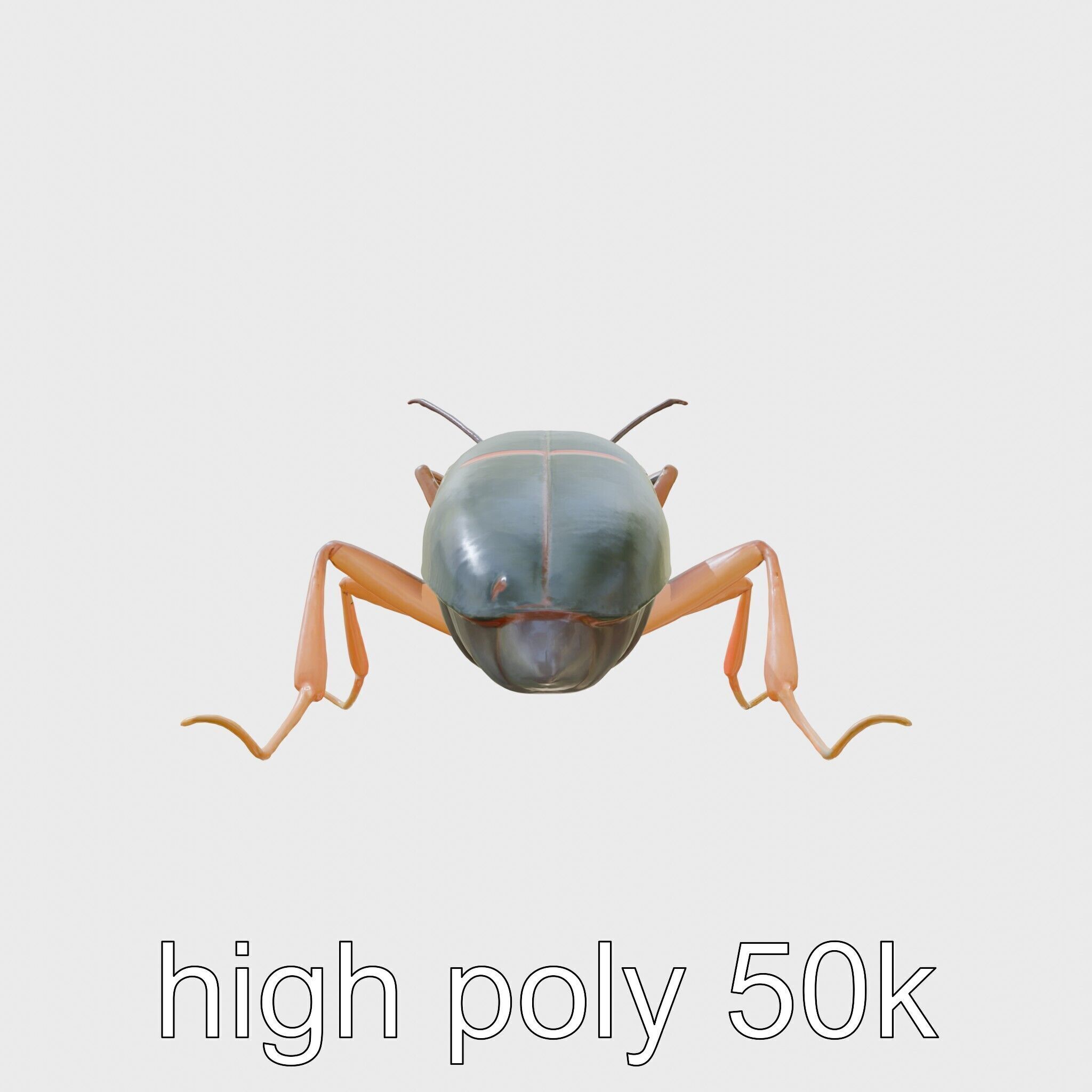 Cockroach Custodian 3D model pack with stylized legs Low-poly 3D model_5
