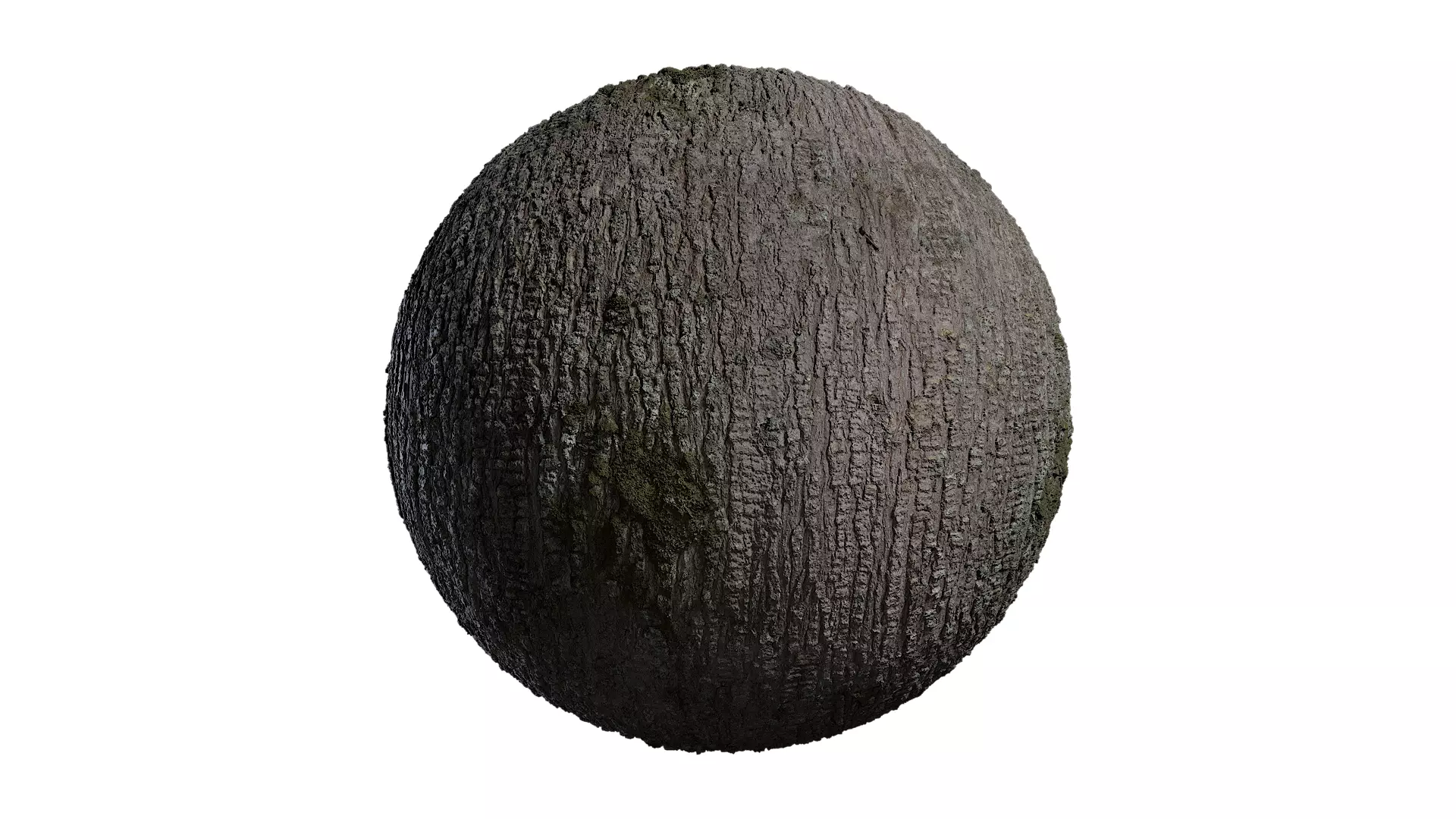 Anydrafts Abies Bark 11 Texture_0