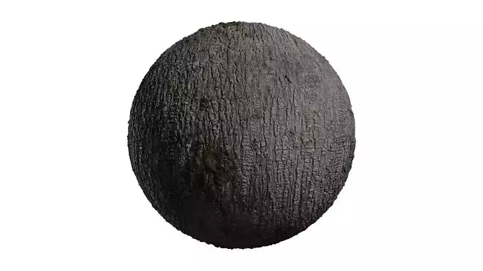 Anydrafts Abies Bark 11