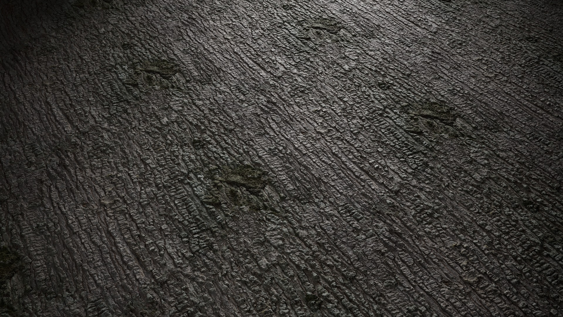 Anydrafts Abies Bark 11 Texture_3