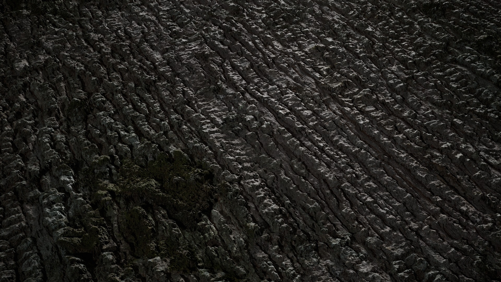 Anydrafts Abies Bark 11 Texture_2