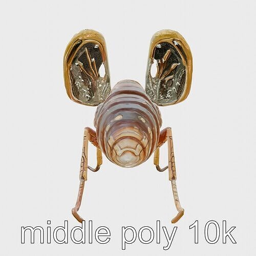 Insectoid Sentinel Cockroach model pack Low-poly 3D model