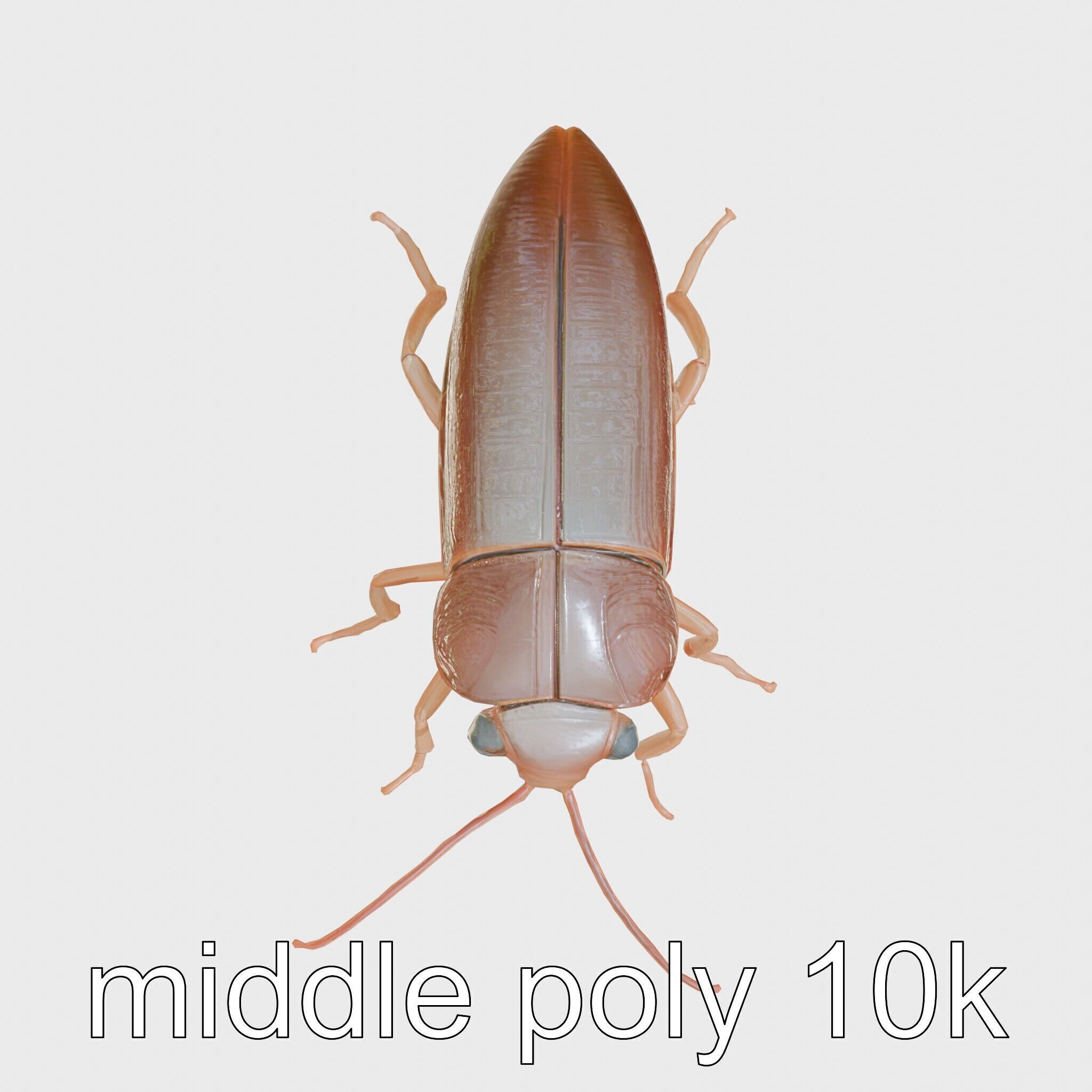 Bug Guardian Cockroach Sculpture model pack Low-poly 3D model_32