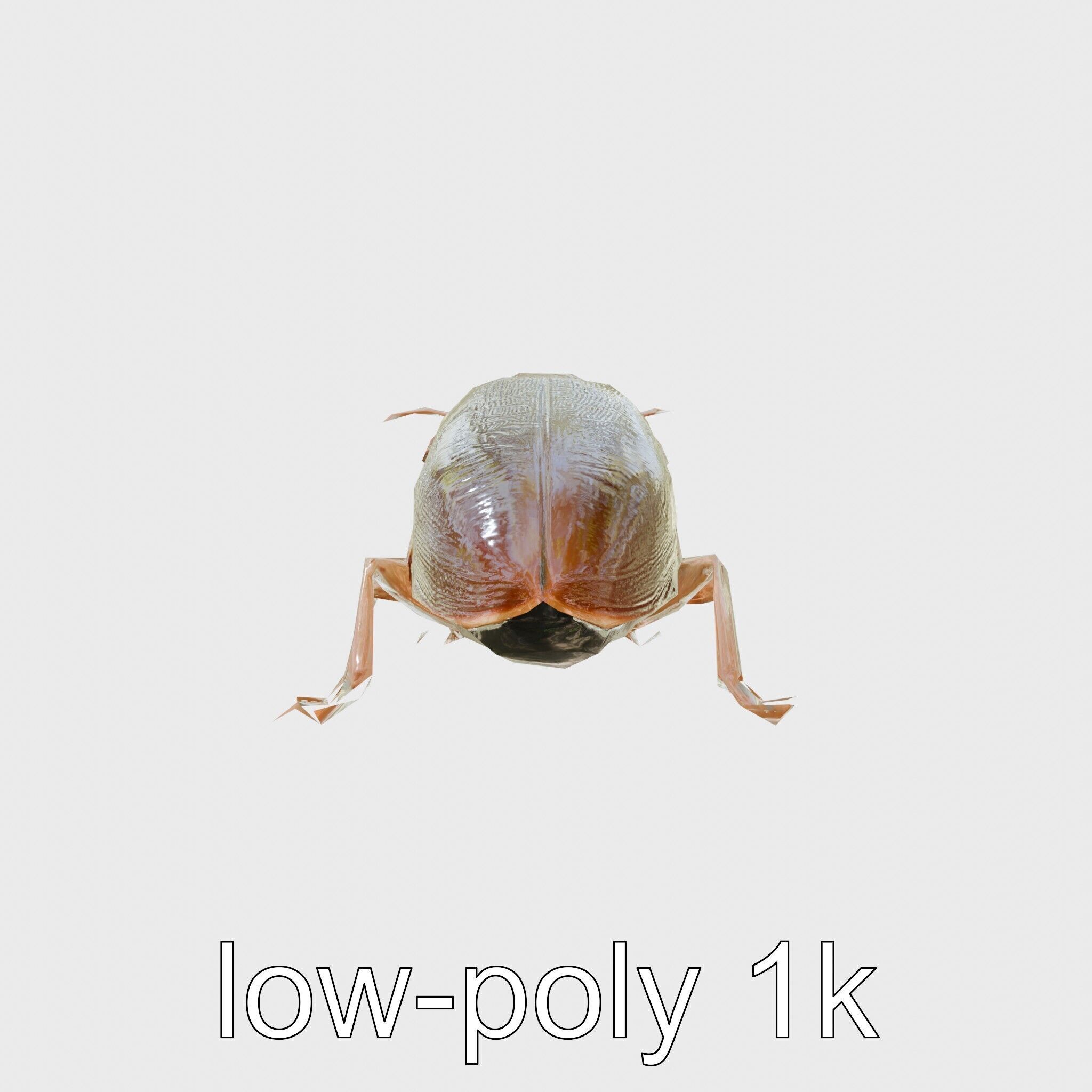 Bug Guardian Cockroach Sculpture model pack Low-poly 3D model_7