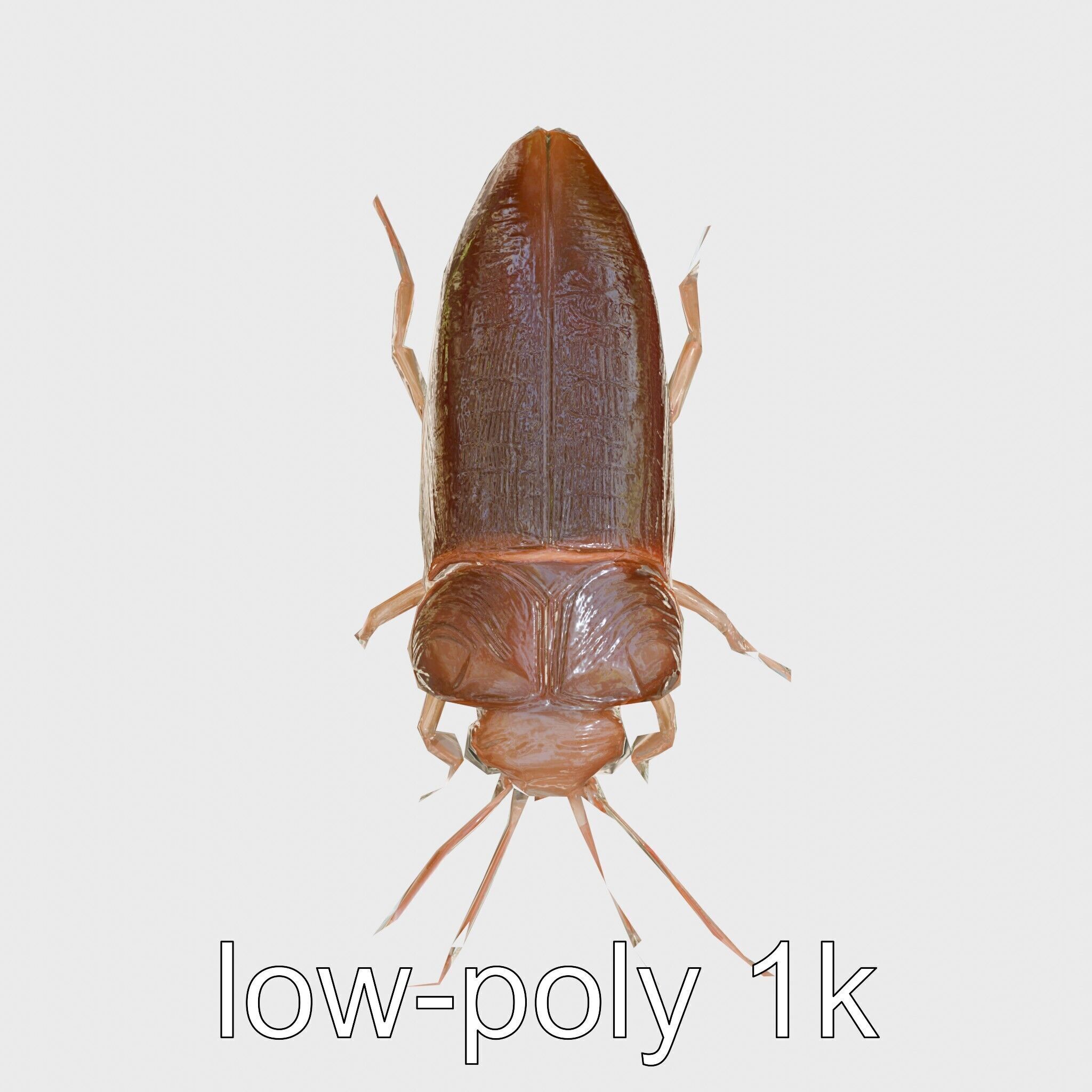 Bug Guardian Cockroach Sculpture model pack Low-poly 3D model_22
