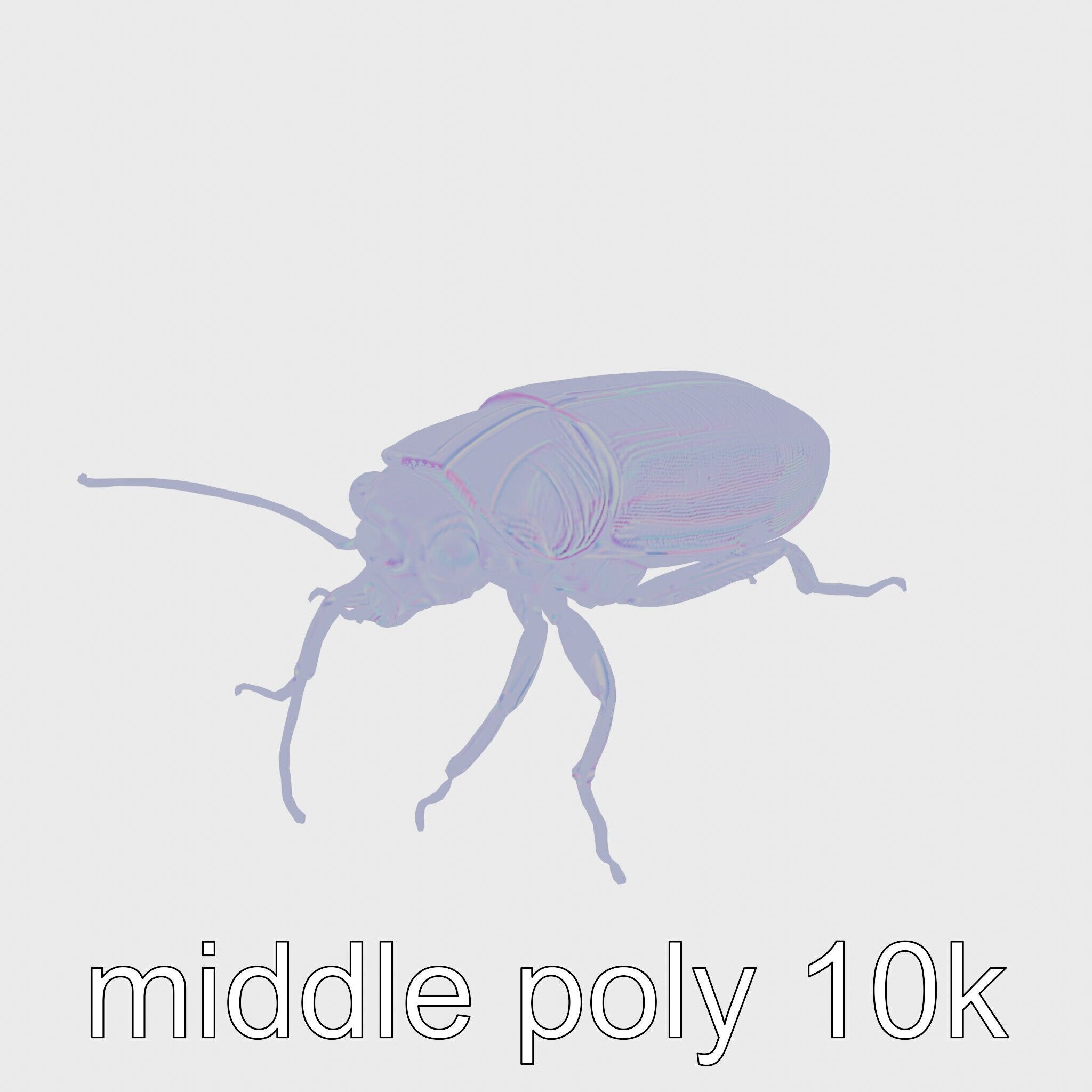 Bug Guardian Cockroach Sculpture model pack Low-poly 3D model_18