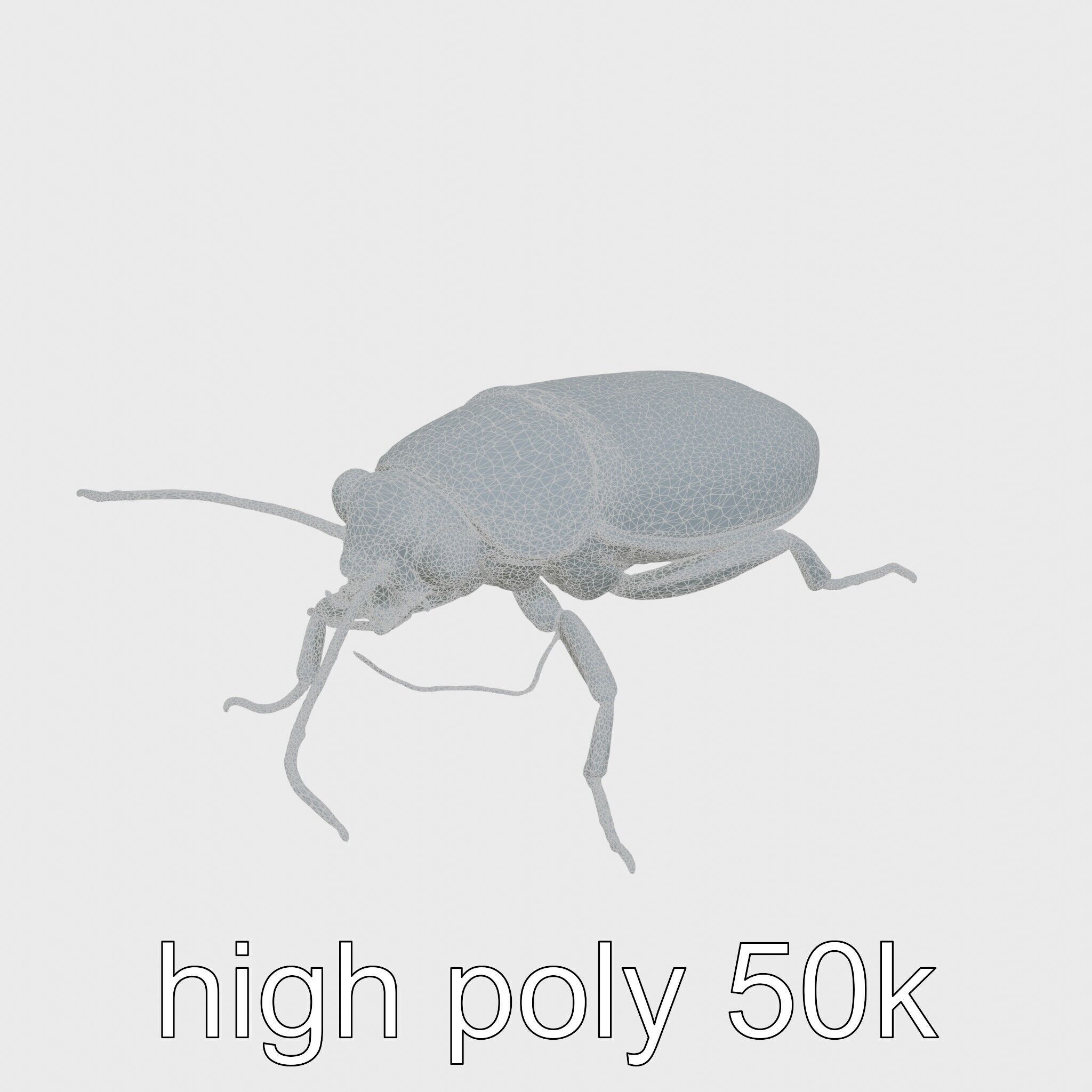Bug Guardian Cockroach Sculpture model pack Low-poly 3D model_19