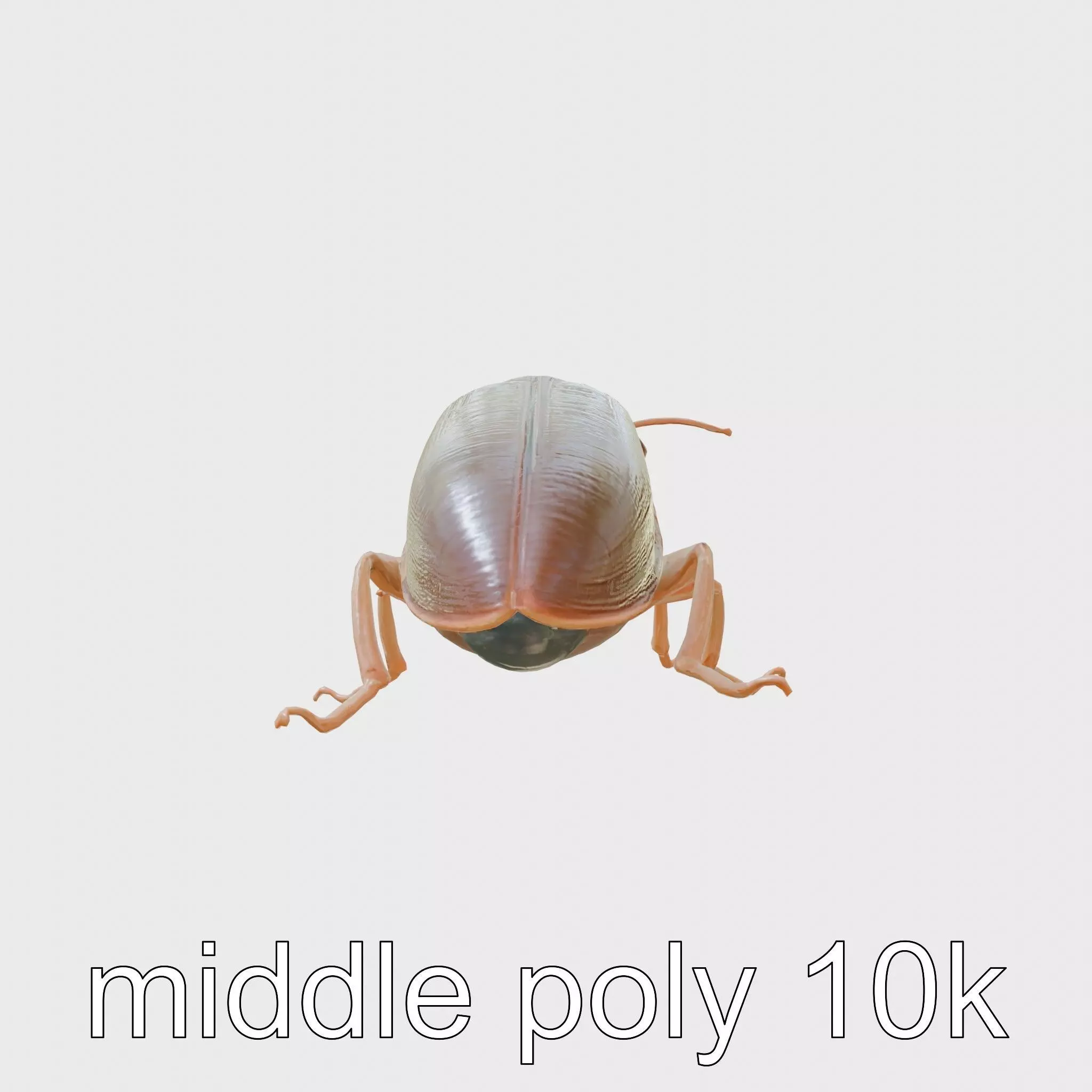 Bug Guardian Cockroach Sculpture model pack Low-poly 3D model_0