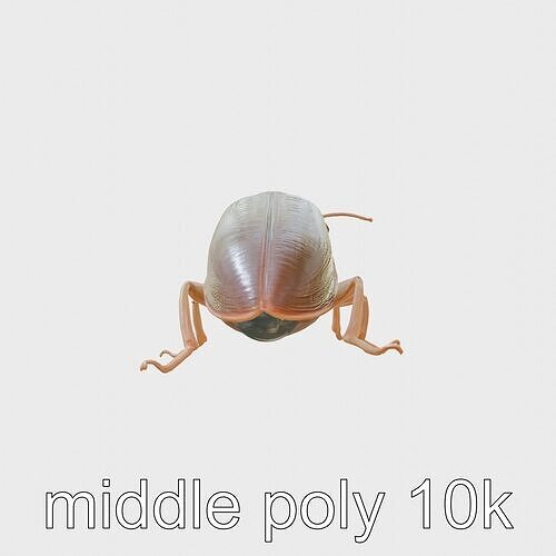 Bug Guardian Cockroach Sculpture model pack Low-poly 3D model