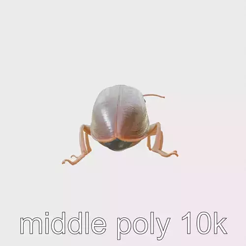 Bug Guardian Cockroach Sculpture model pack