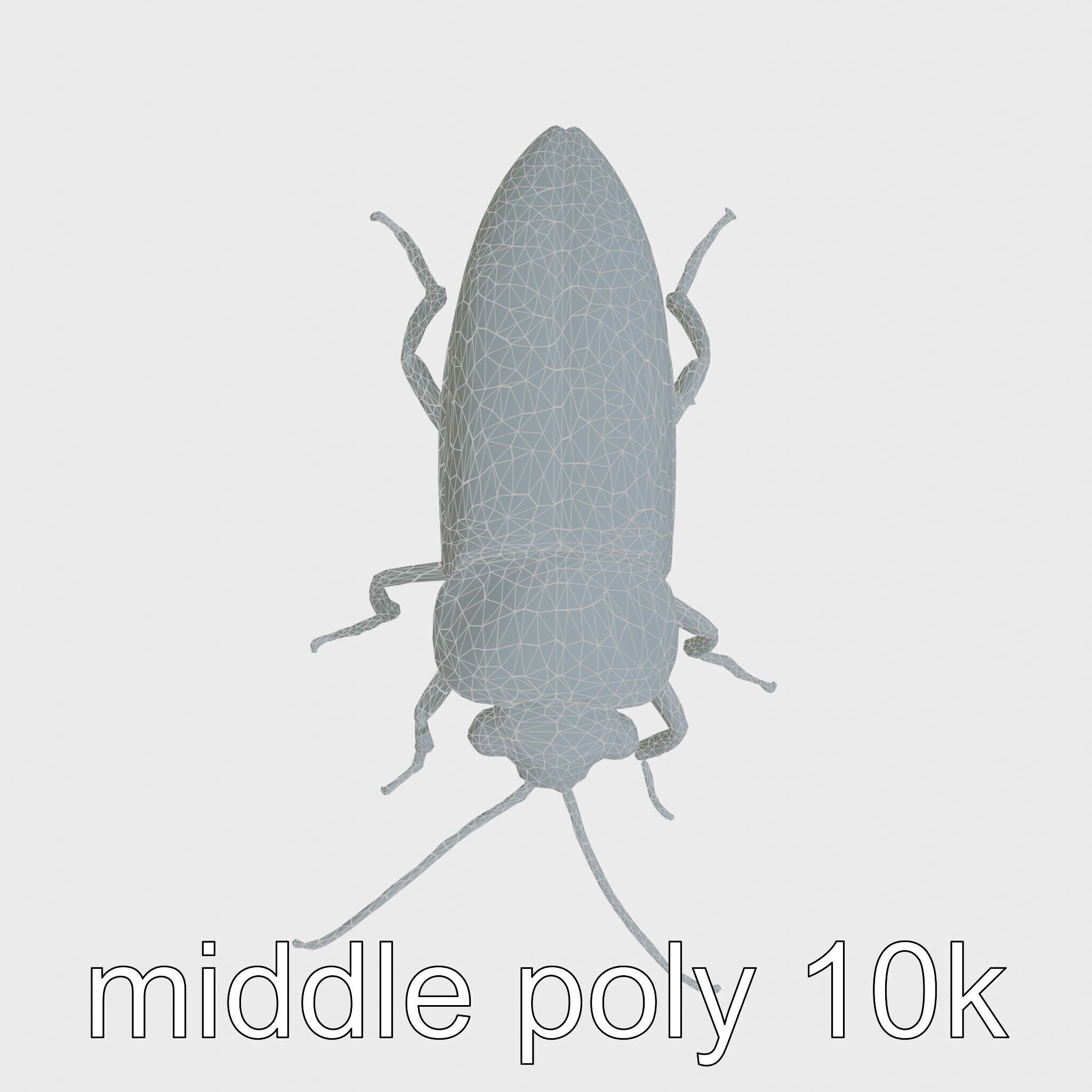 Bug Guardian Cockroach Sculpture model pack Low-poly 3D model_29