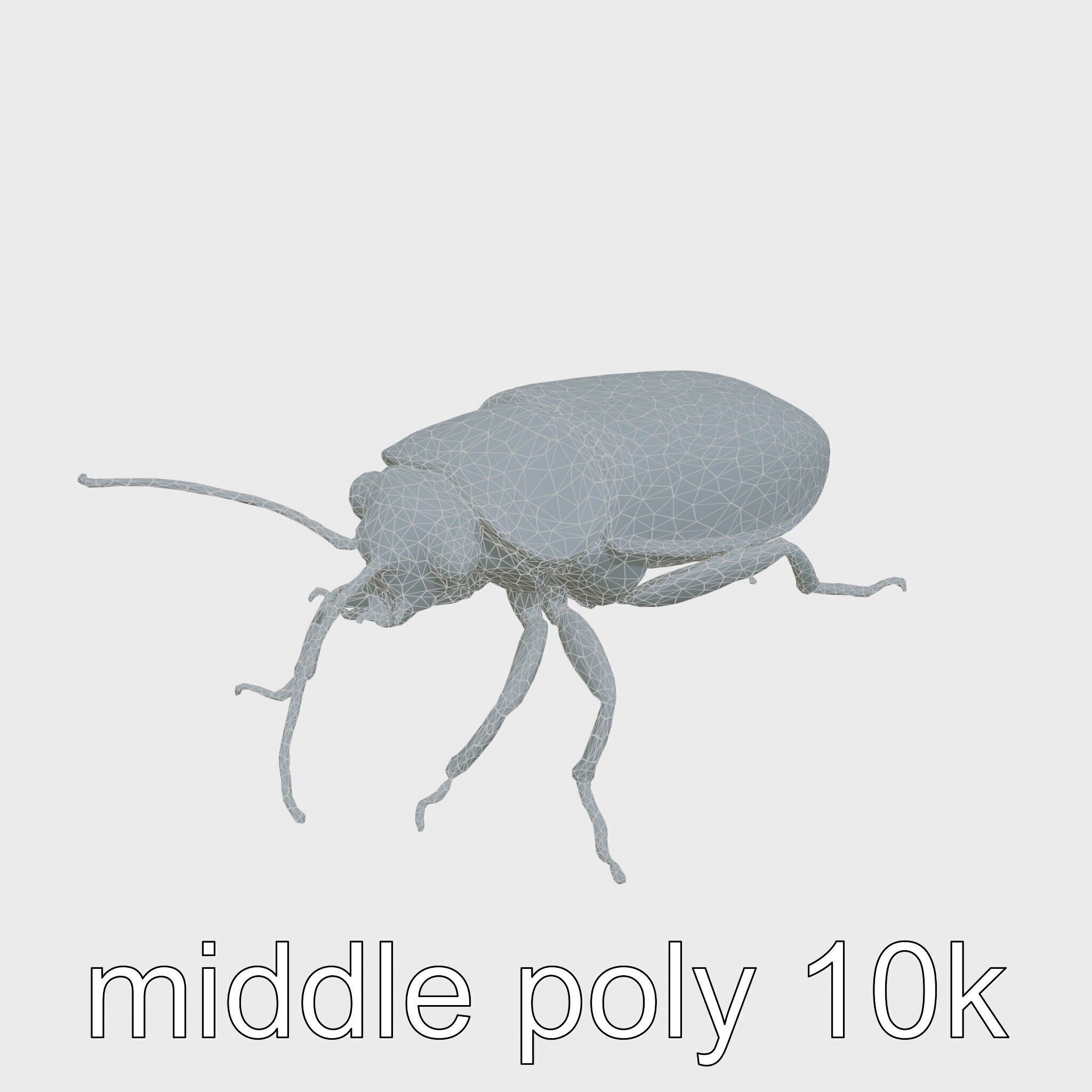 Bug Guardian Cockroach Sculpture model pack Low-poly 3D model_23